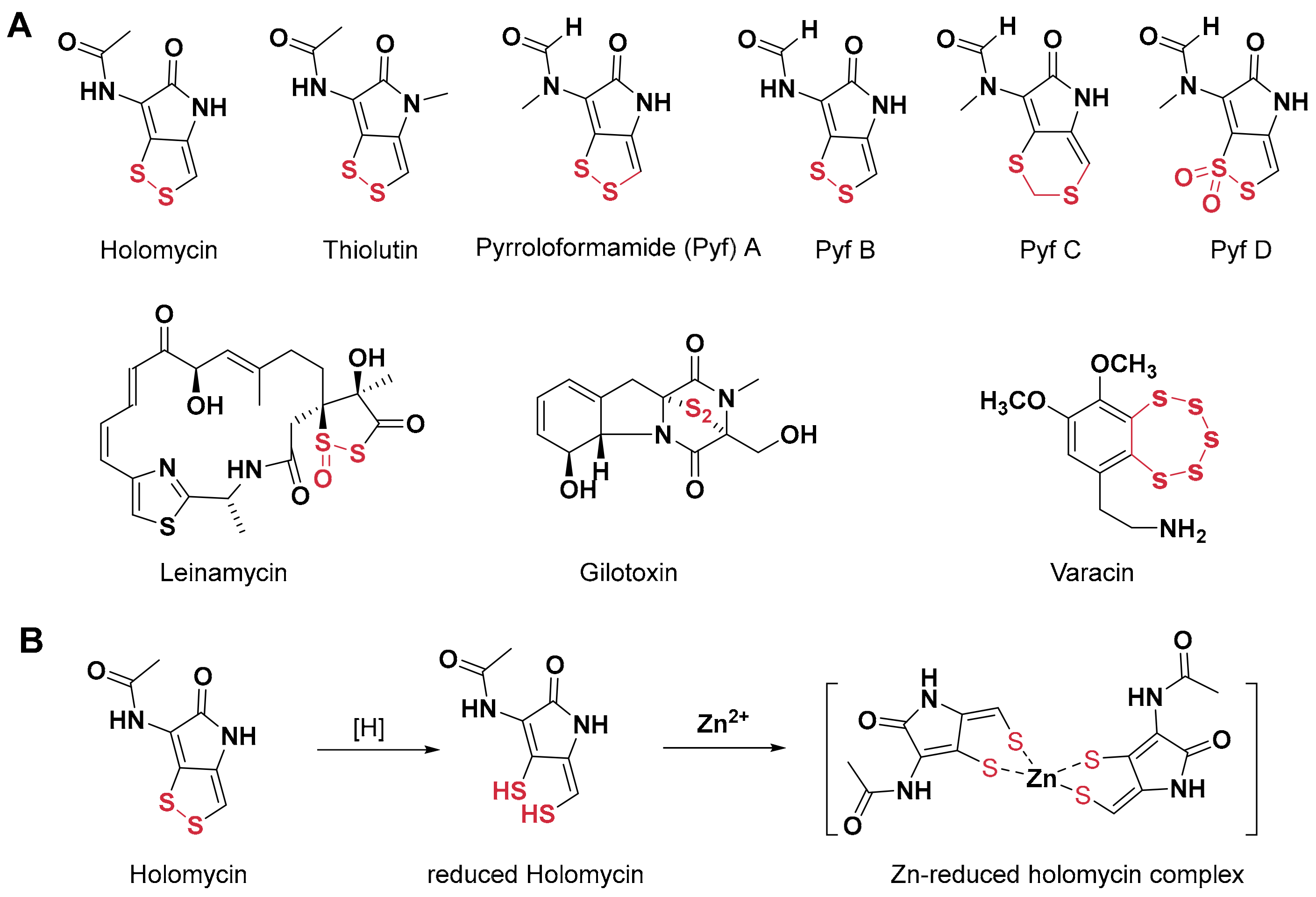 Antibiotics 14 00640 g001