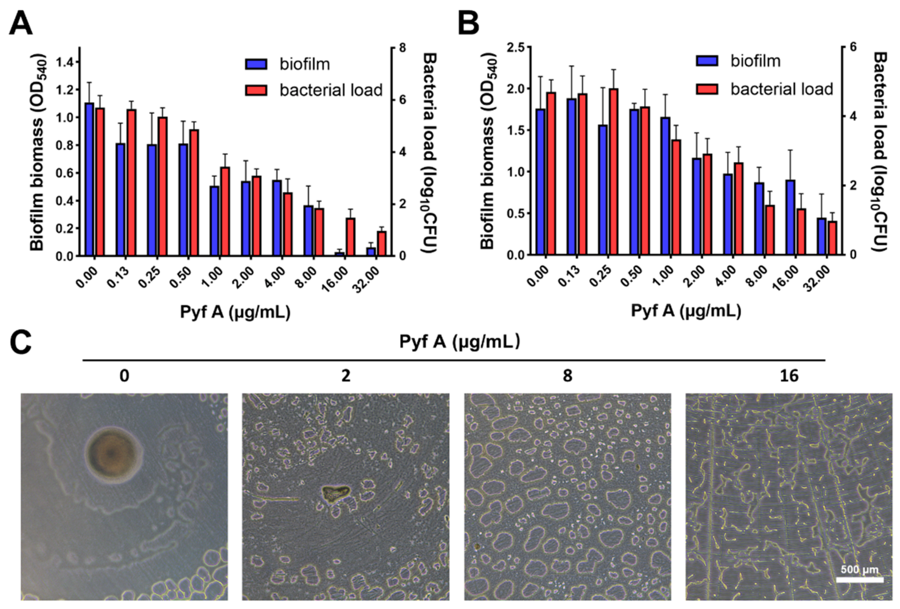 Antibiotics 14 00640 g003
