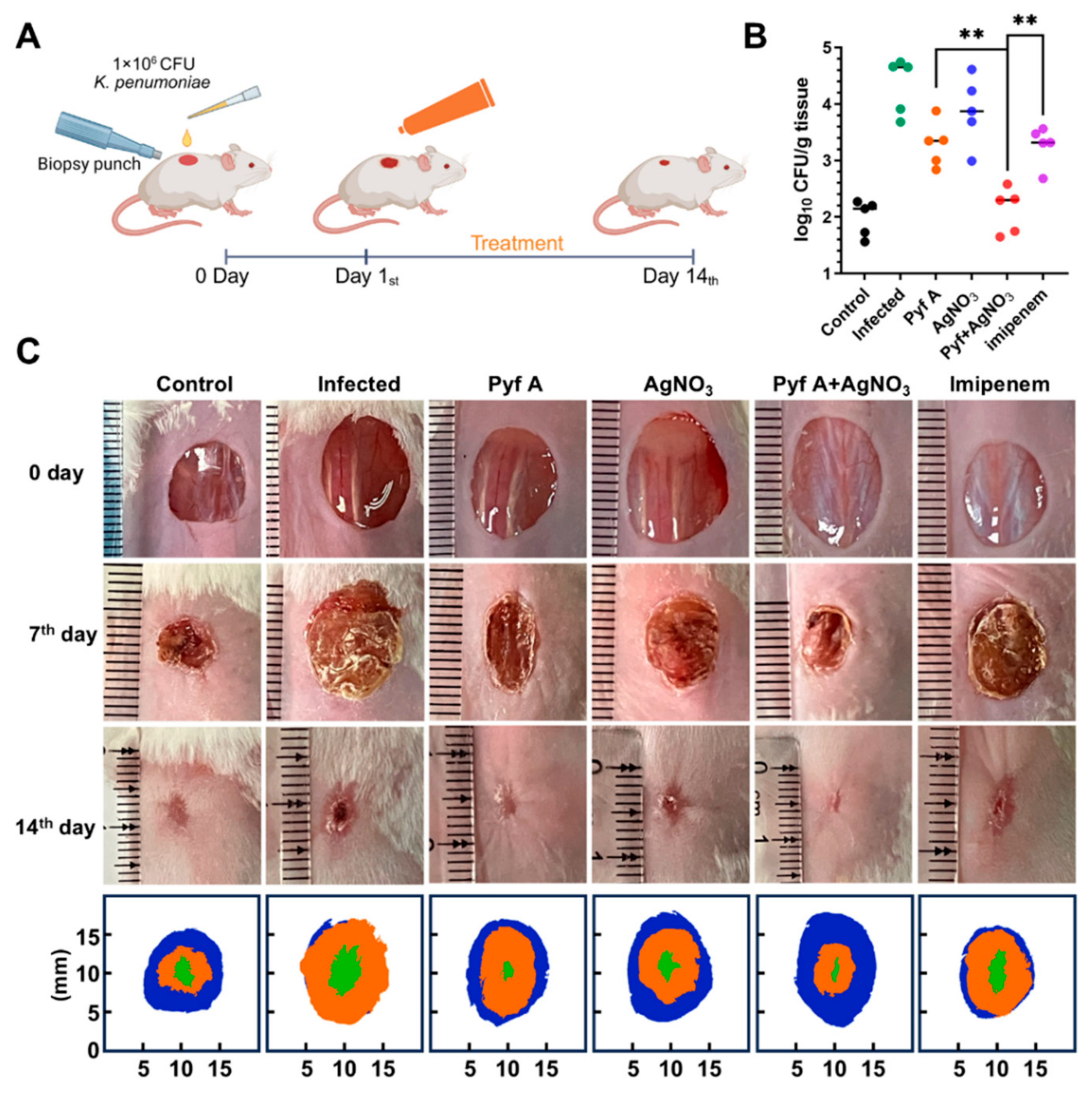 Antibiotics 14 00640 g009