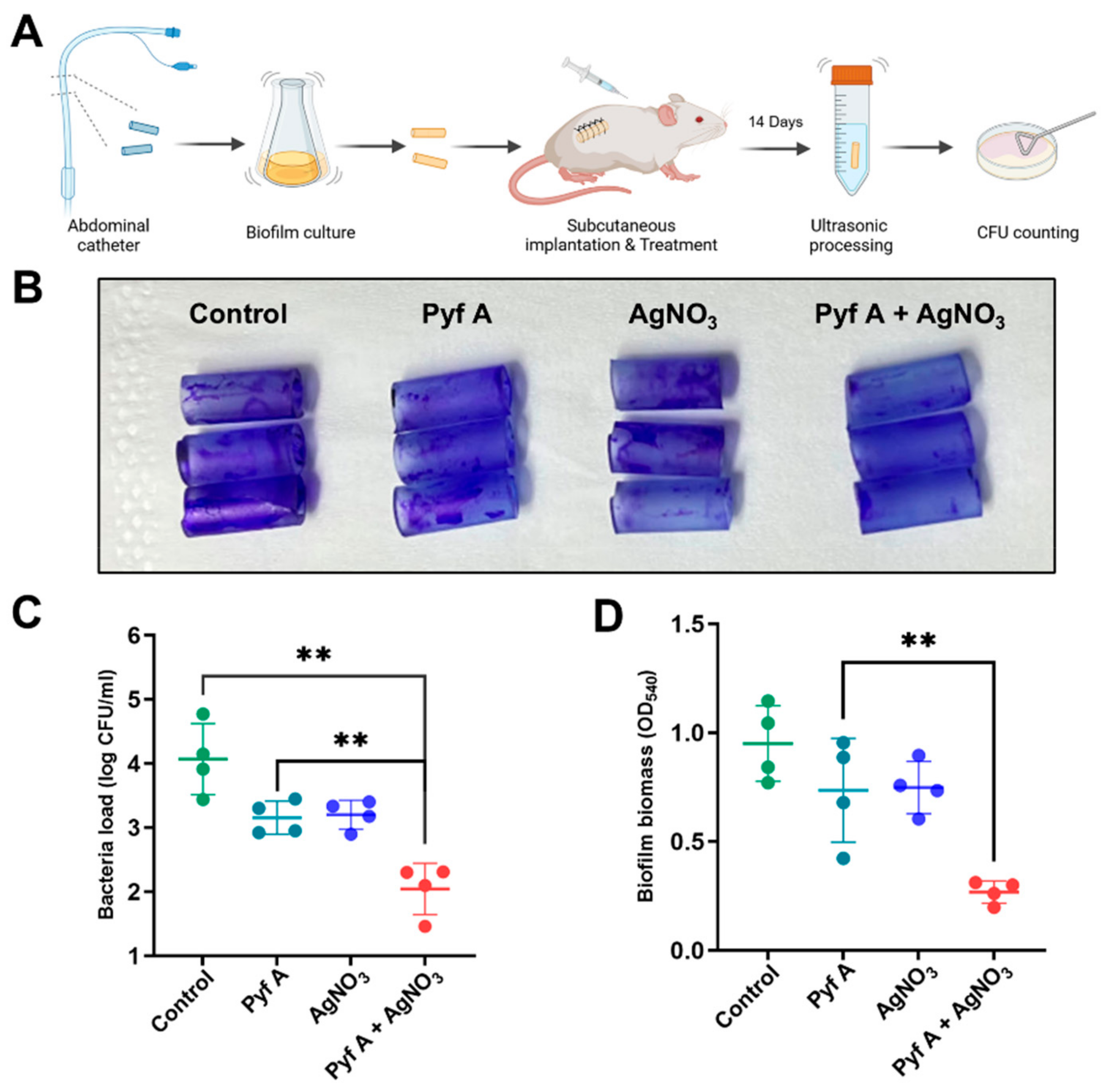 Antibiotics 14 00640 g010