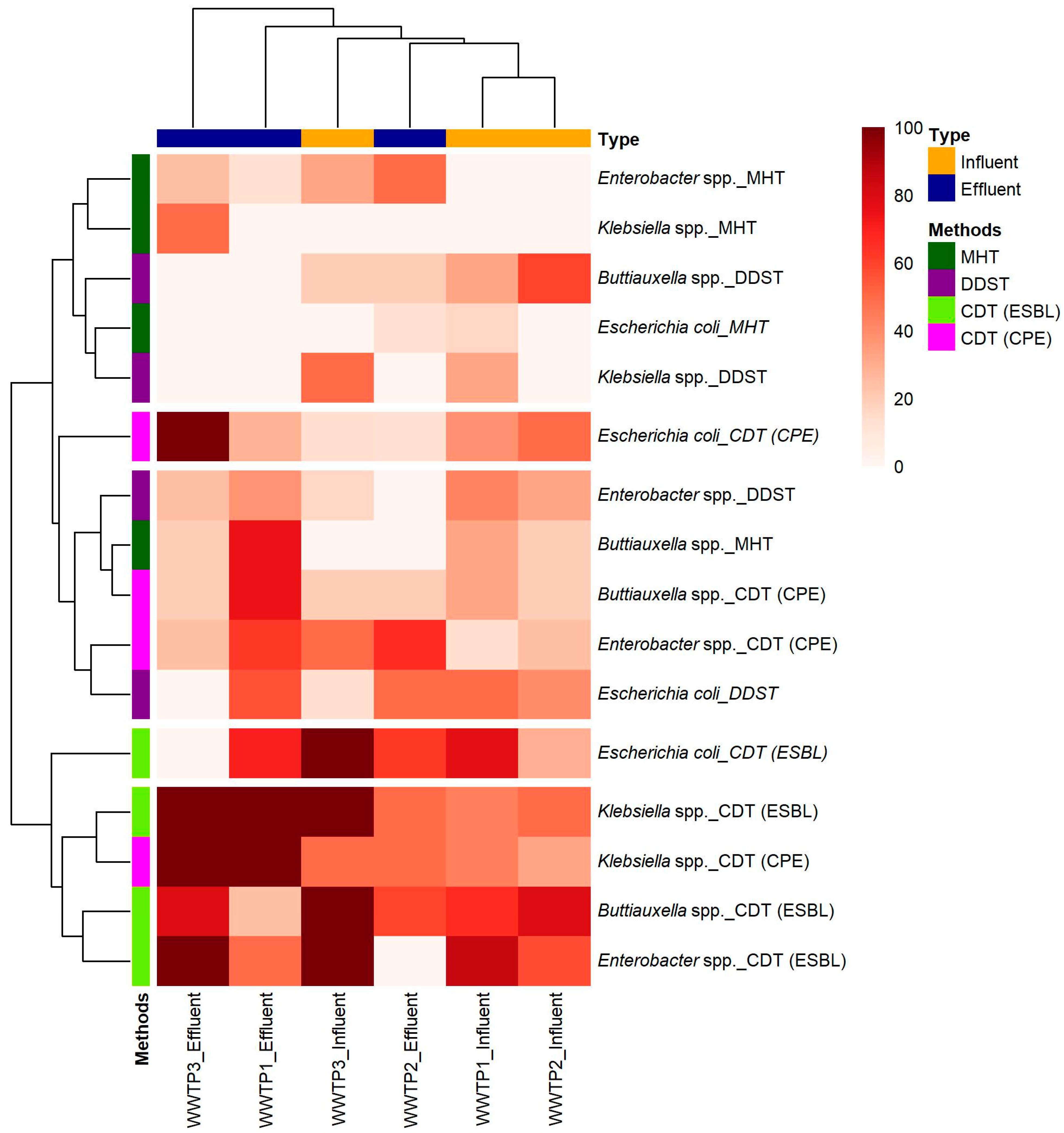 Antibiotics 14 00641 g002 Antibiotics 14 00641 g002
