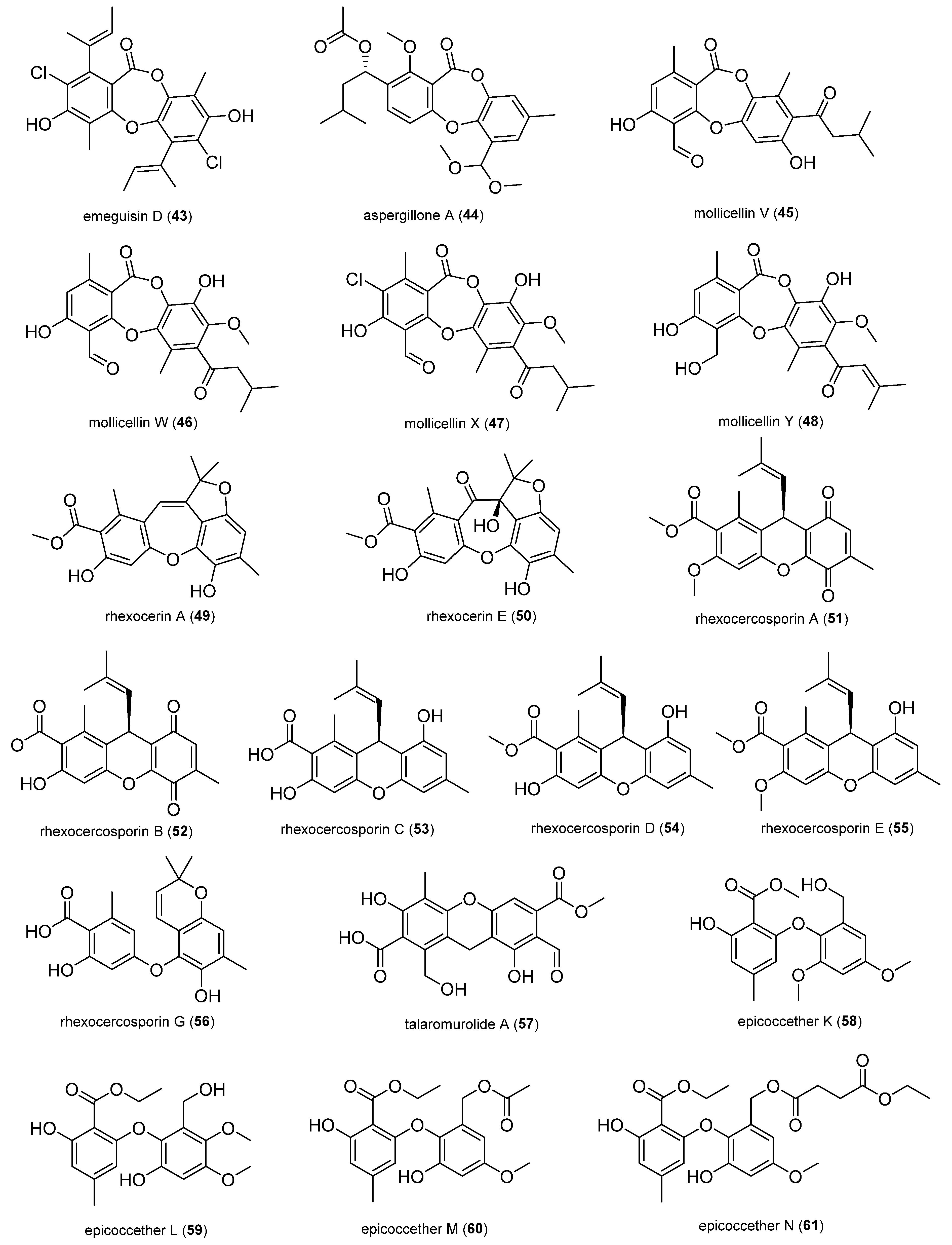 Antibiotics 14 00644 g005