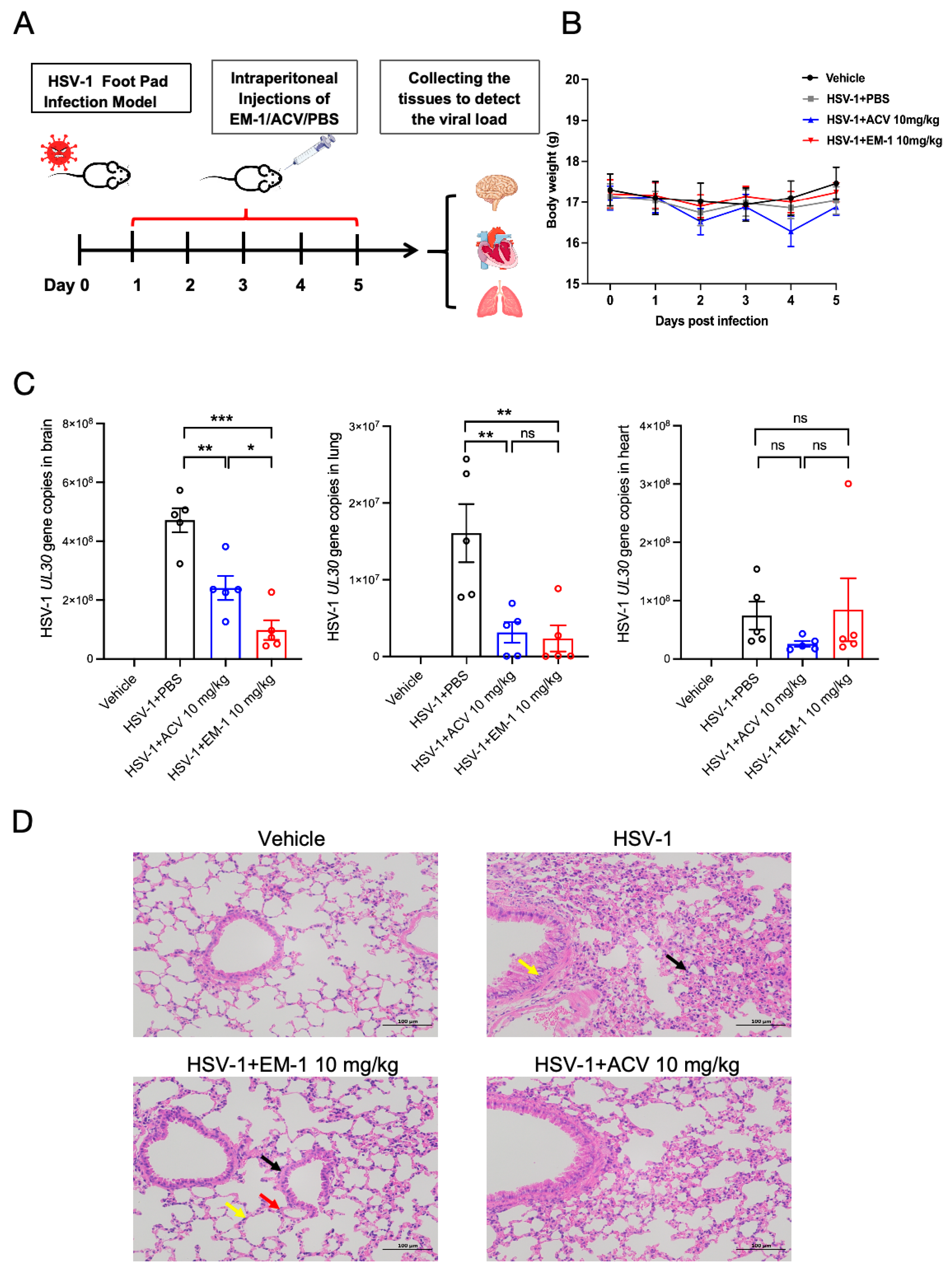 Antibiotics 14 00655 g005