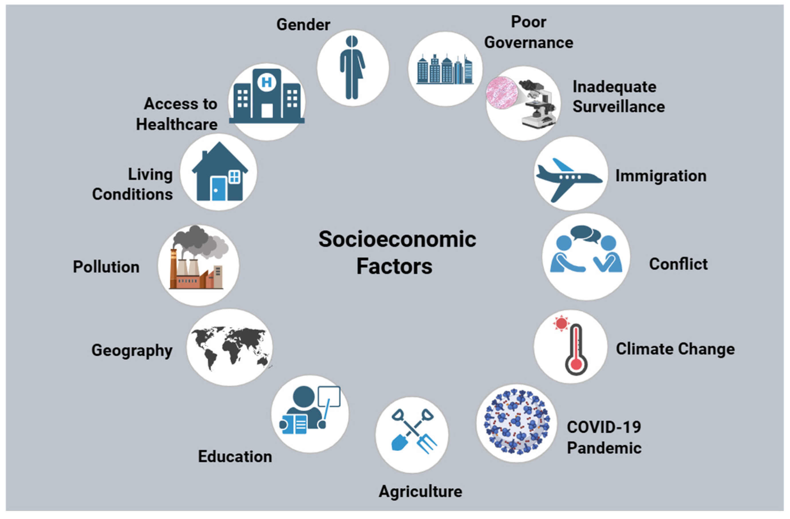 Antibiotics 14 00659 g002