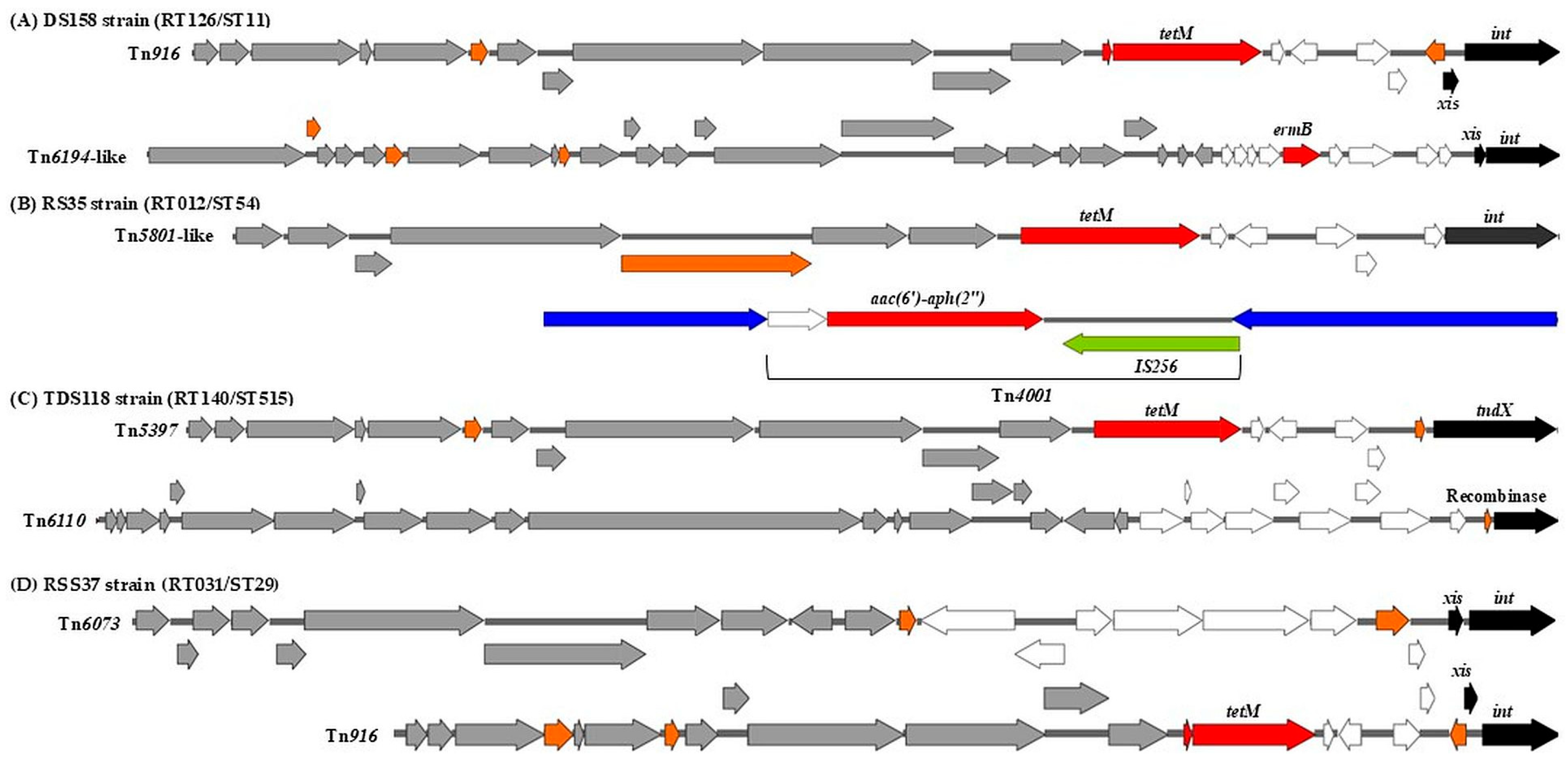 Antibiotics 14 00678 g002