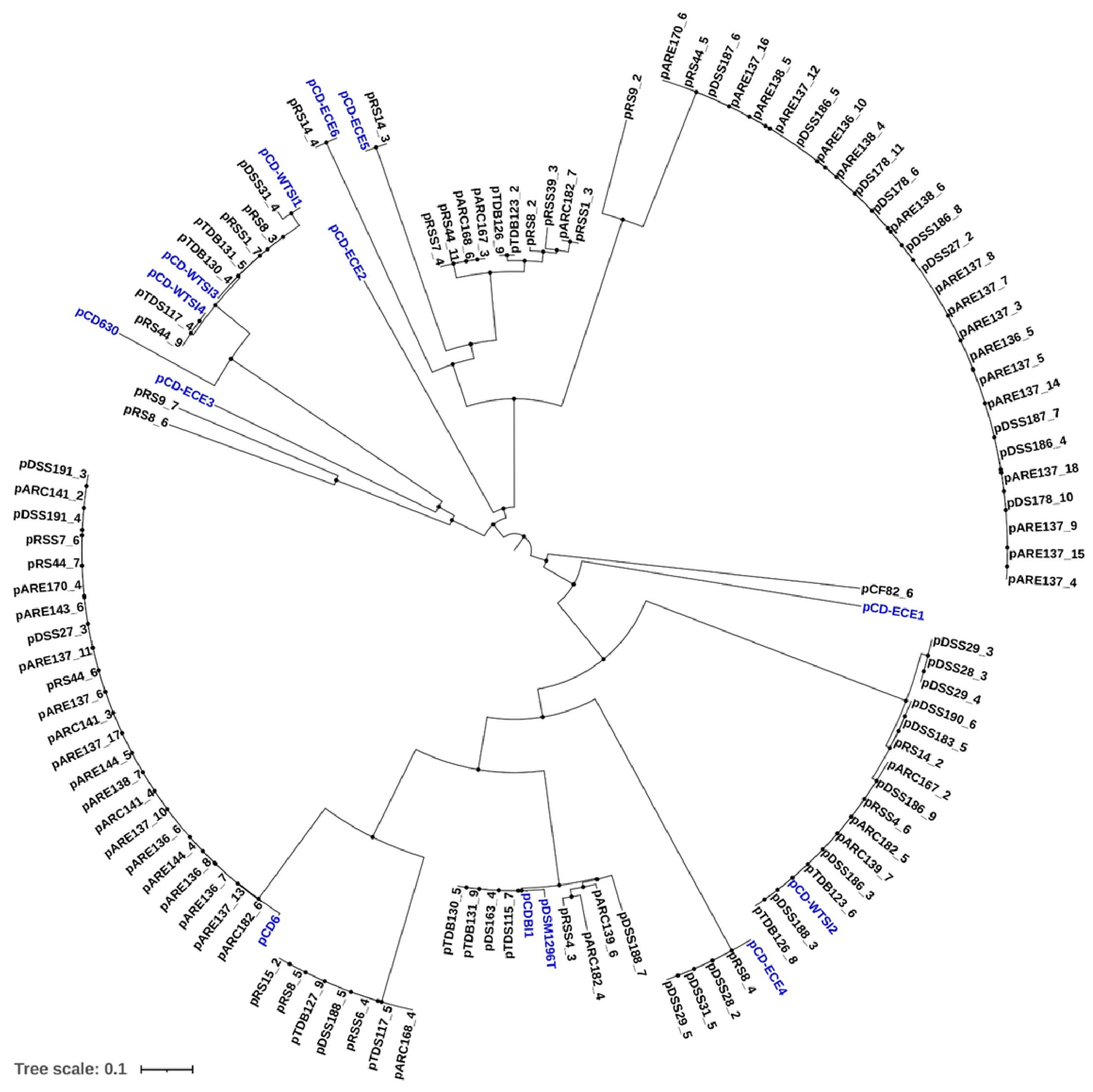 Antibiotics 14 00678 g004