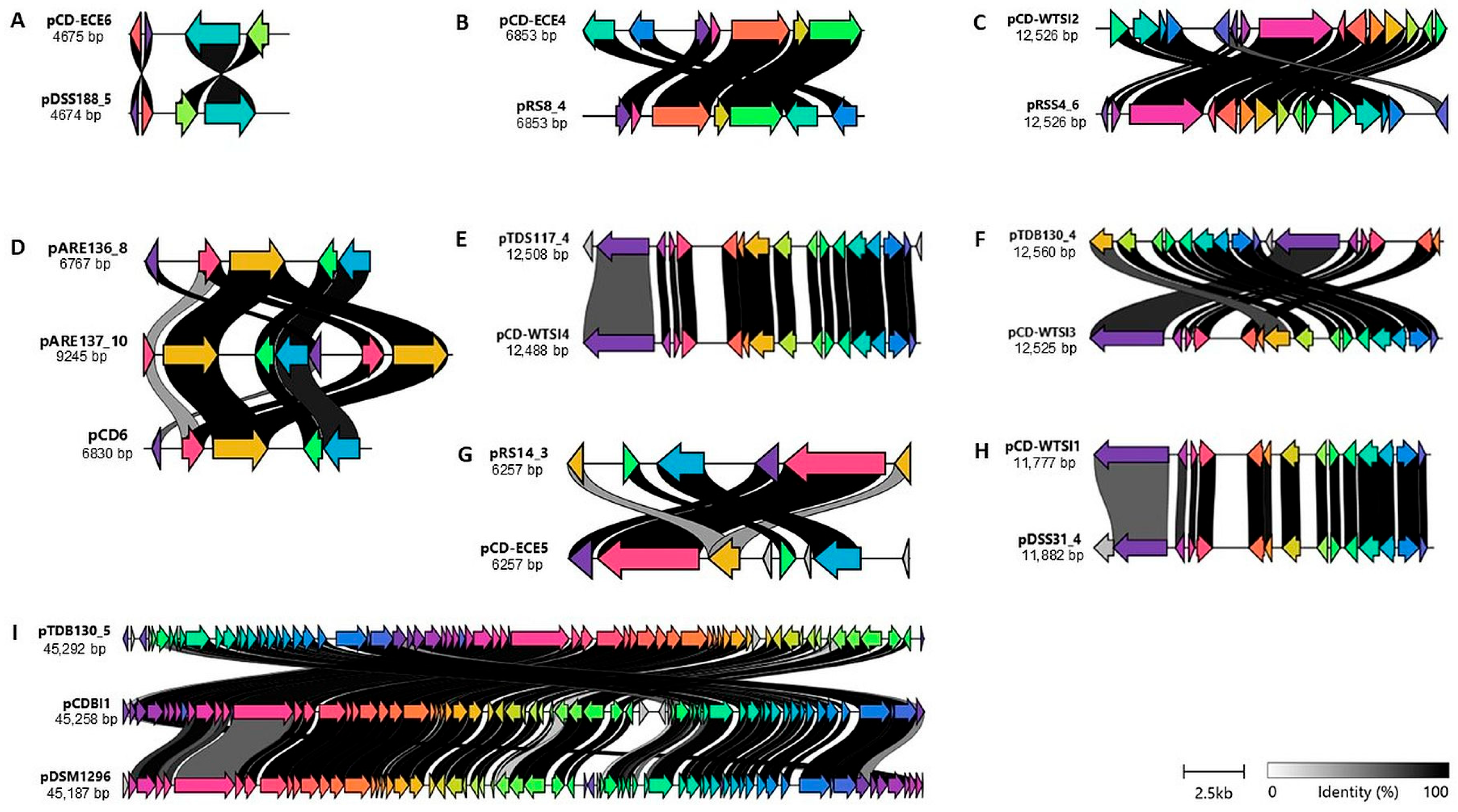 Antibiotics 14 00678 g005