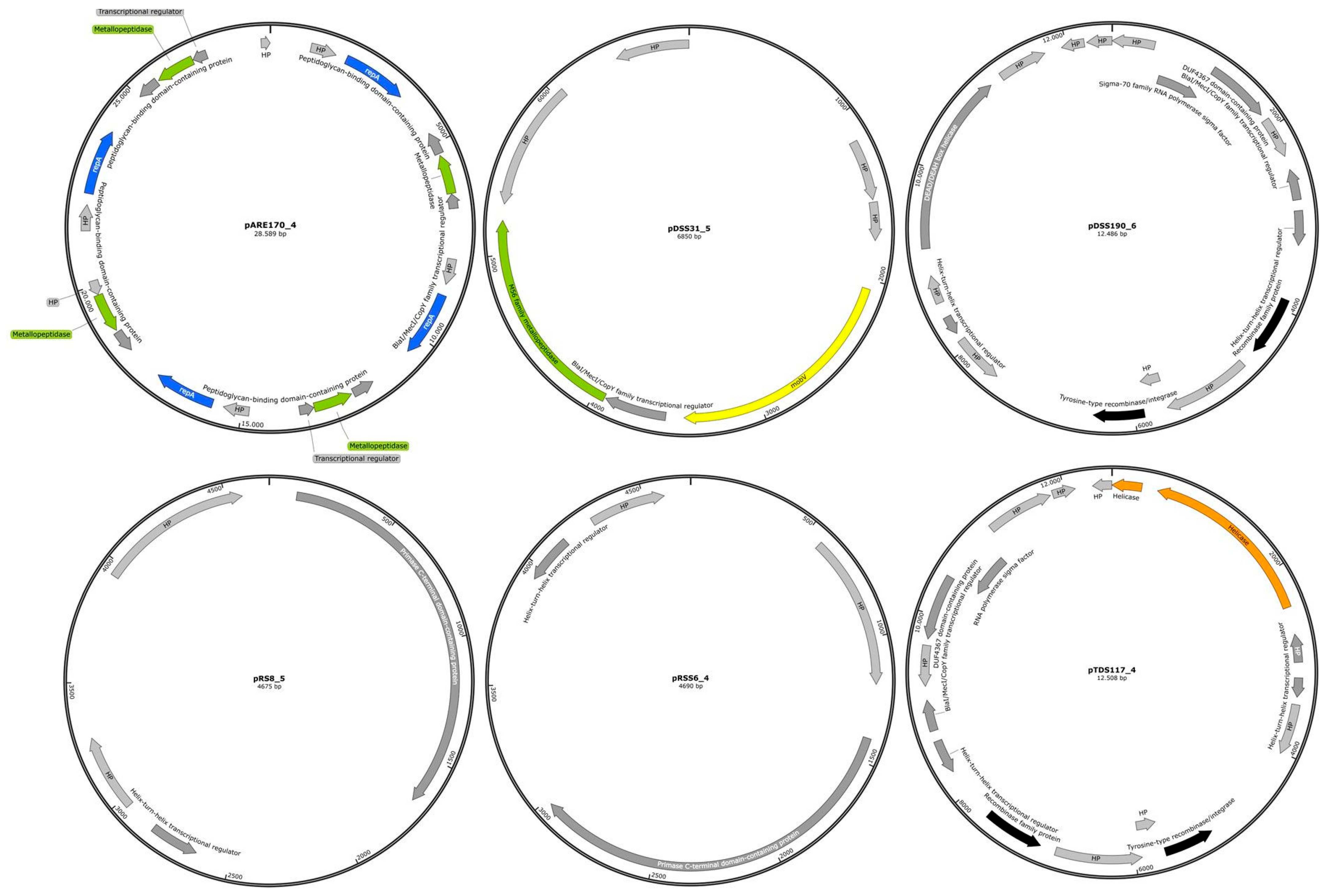 Antibiotics 14 00678 g006