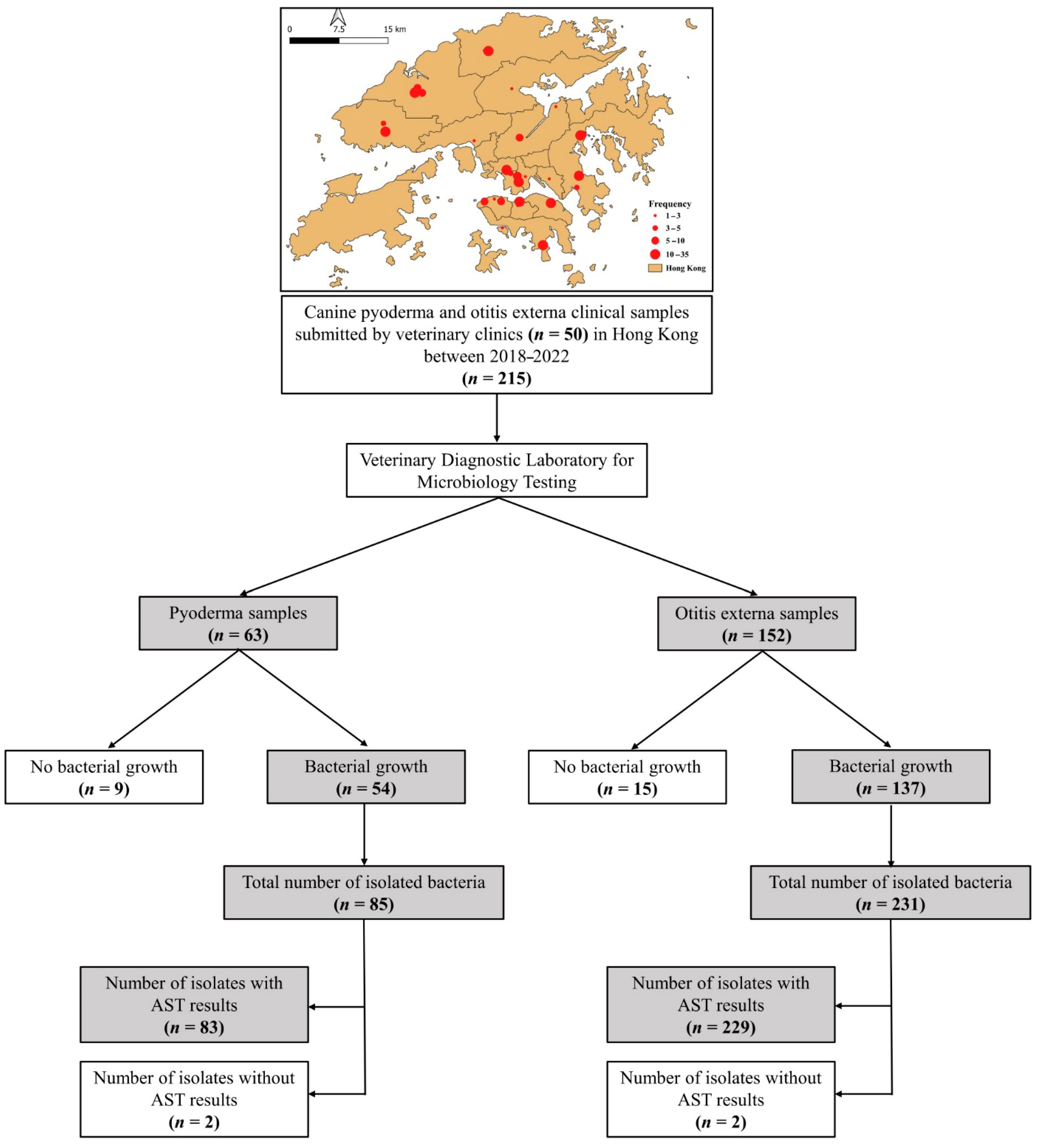 Antibiotics 14 00685 g001