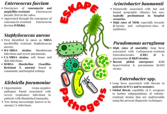 Harnessing the Potential of Antibacterial and Antibiofilm