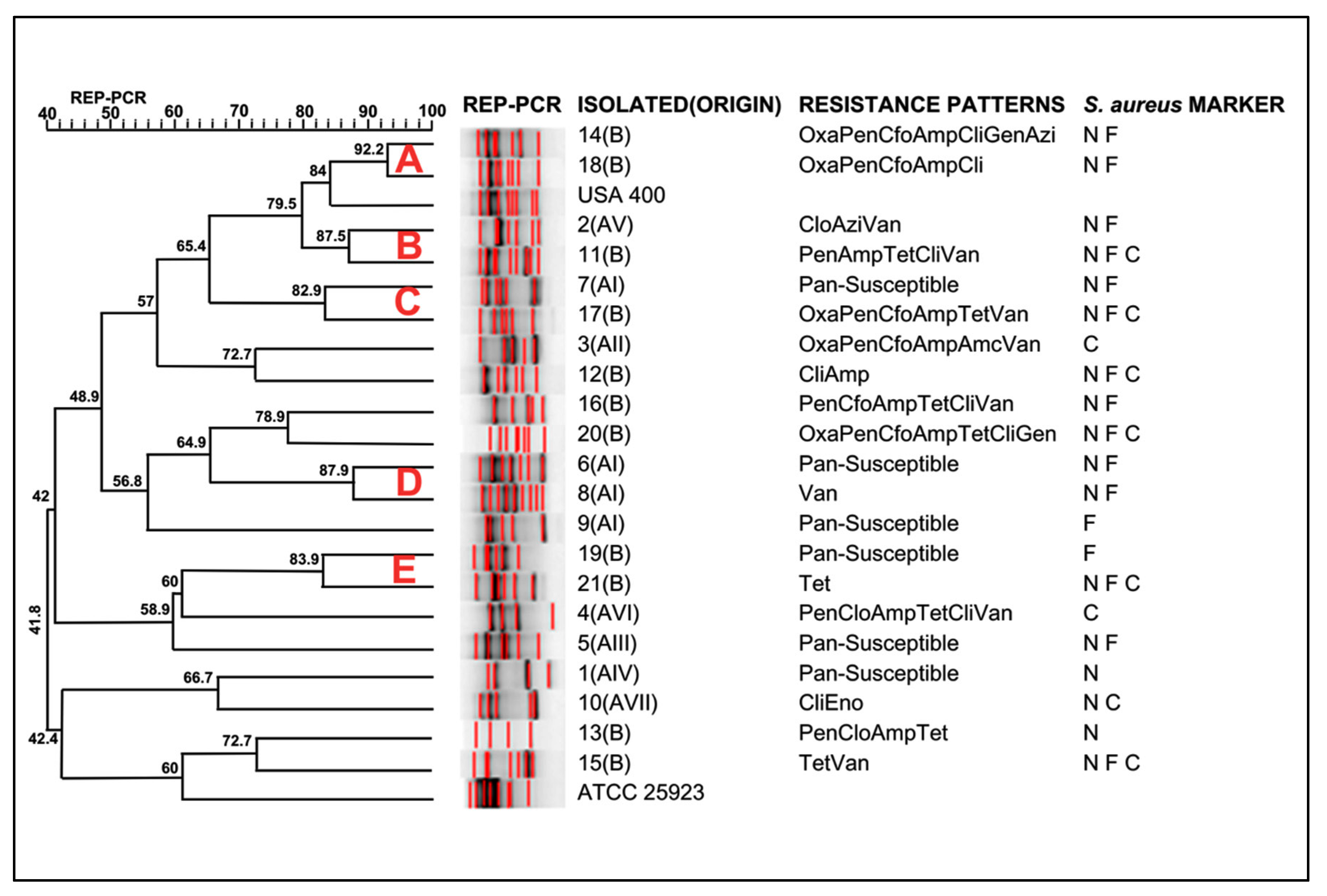 Antibiotics 14 00693 g001