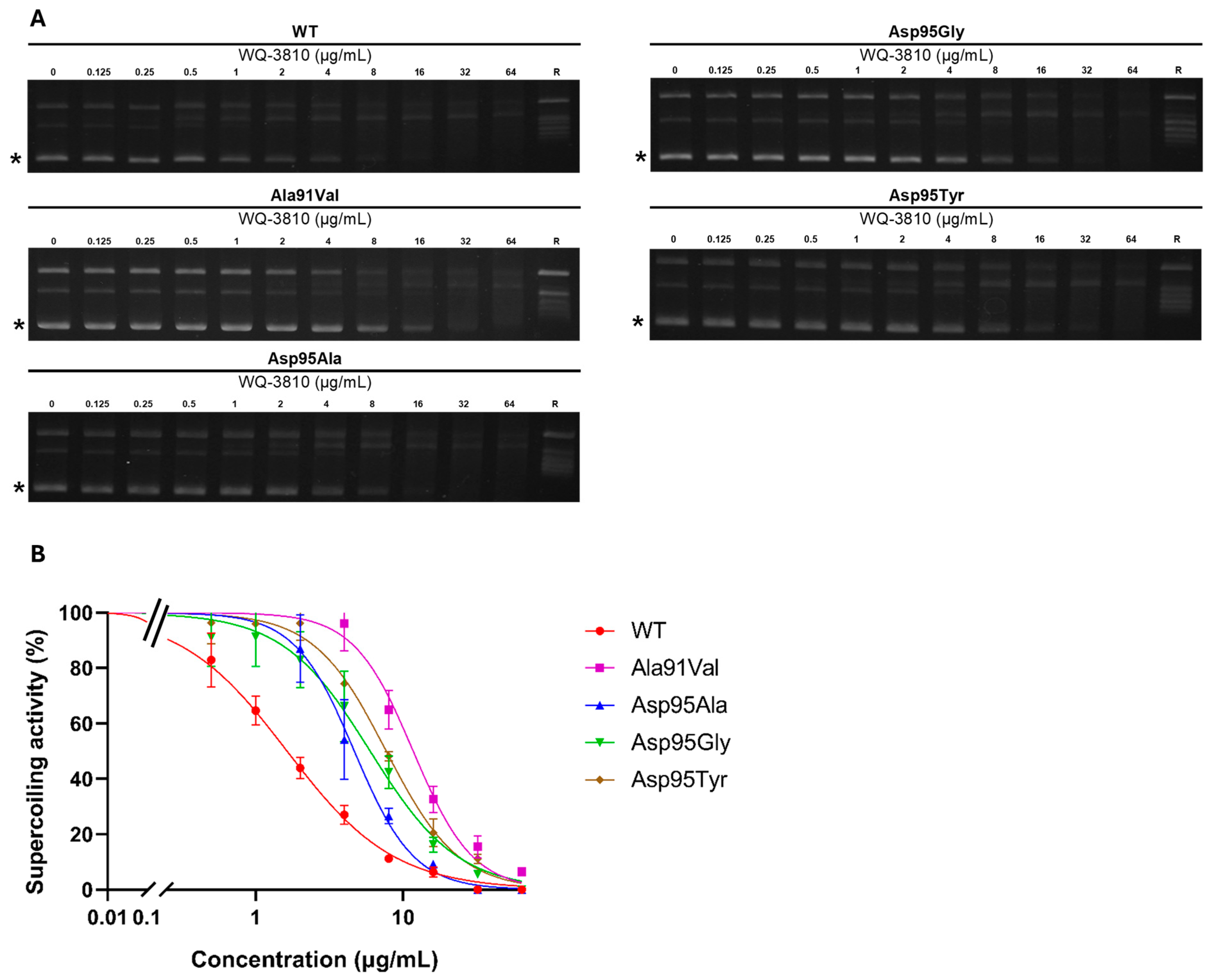 Antibiotics 14 00704 g001 Antibiotics 14 00704 g001