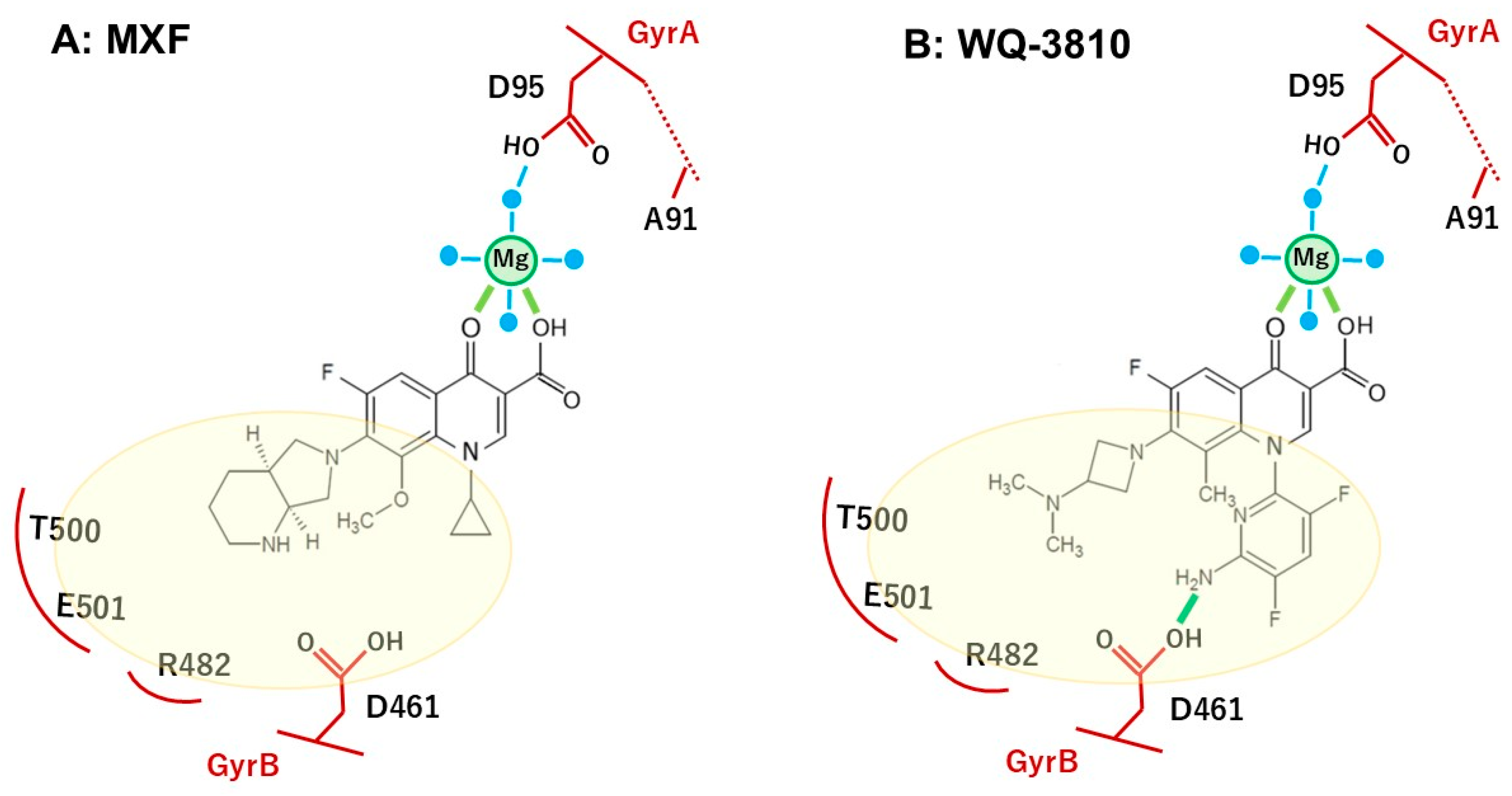 Antibiotics 14 00704 g004 Antibiotics 14 00704 g004
