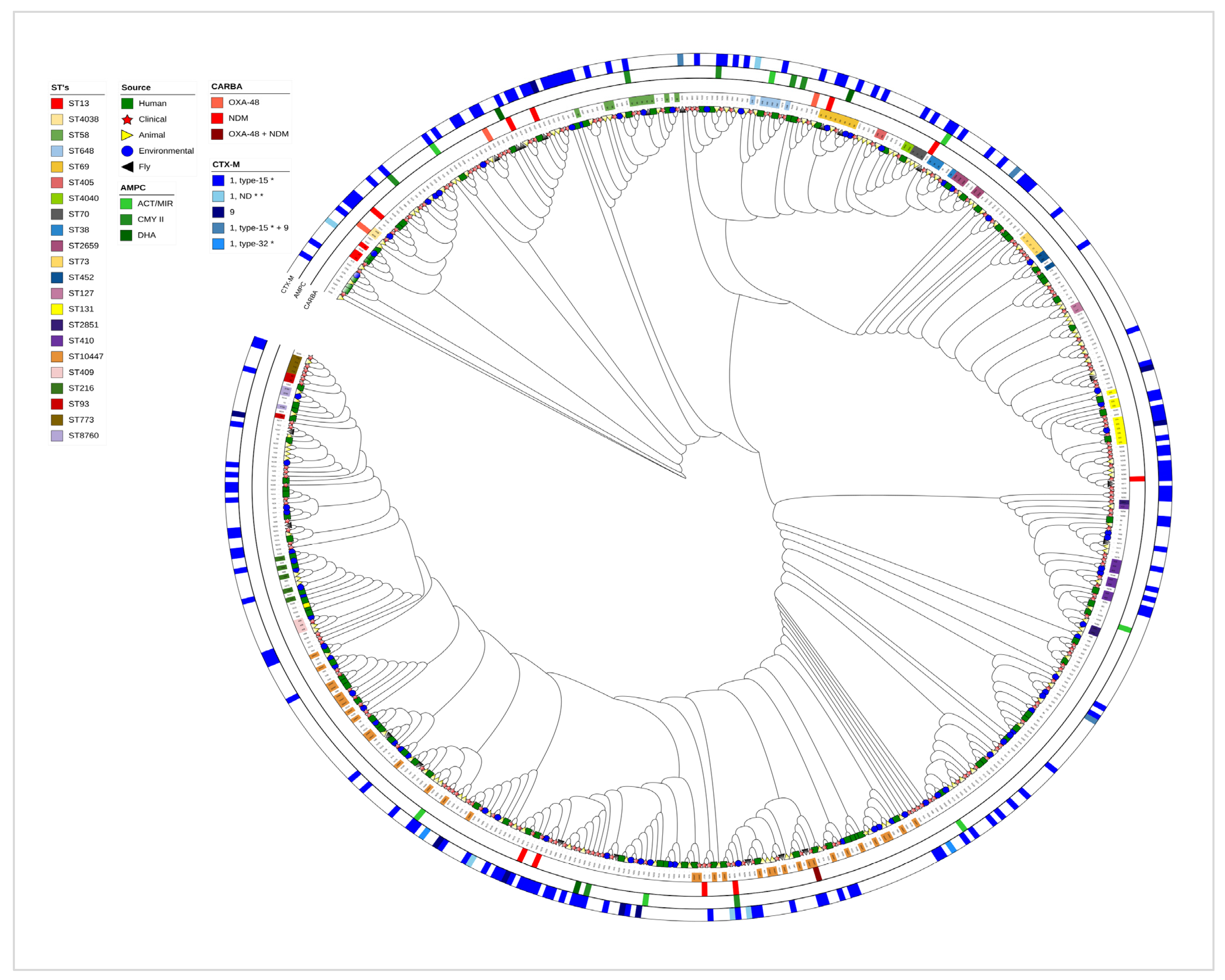 Antibiotics 14 00706 g004