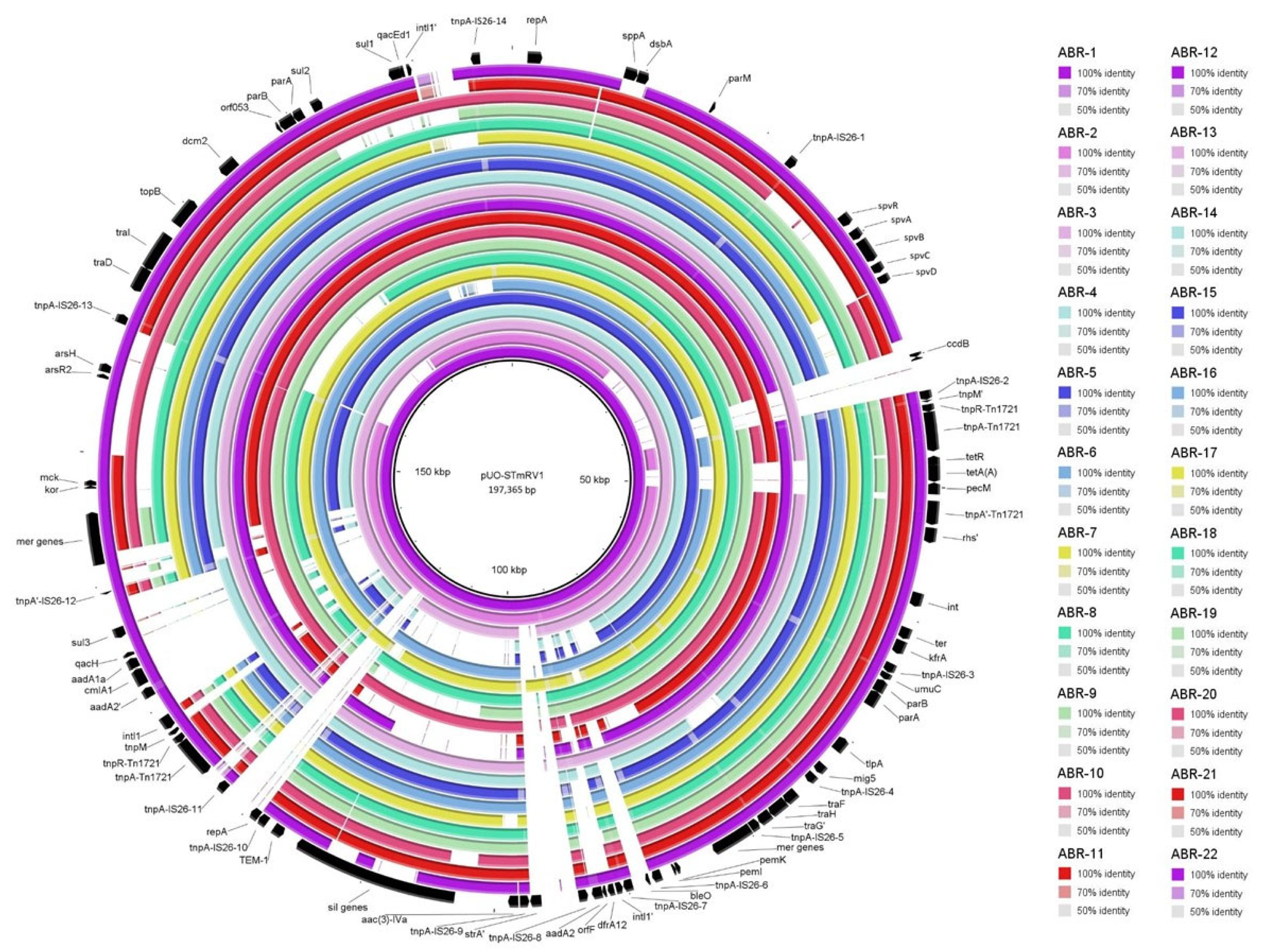 Antibiotics 14 00711 g002