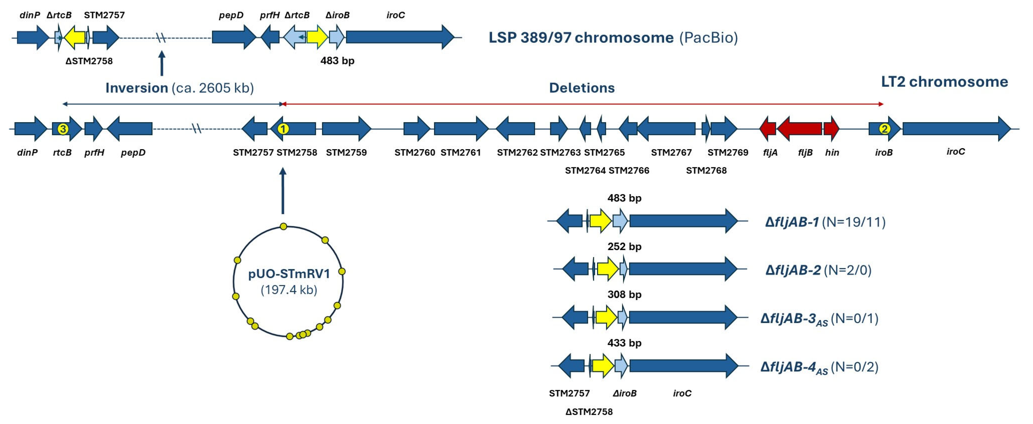 Antibiotics 14 00711 g003