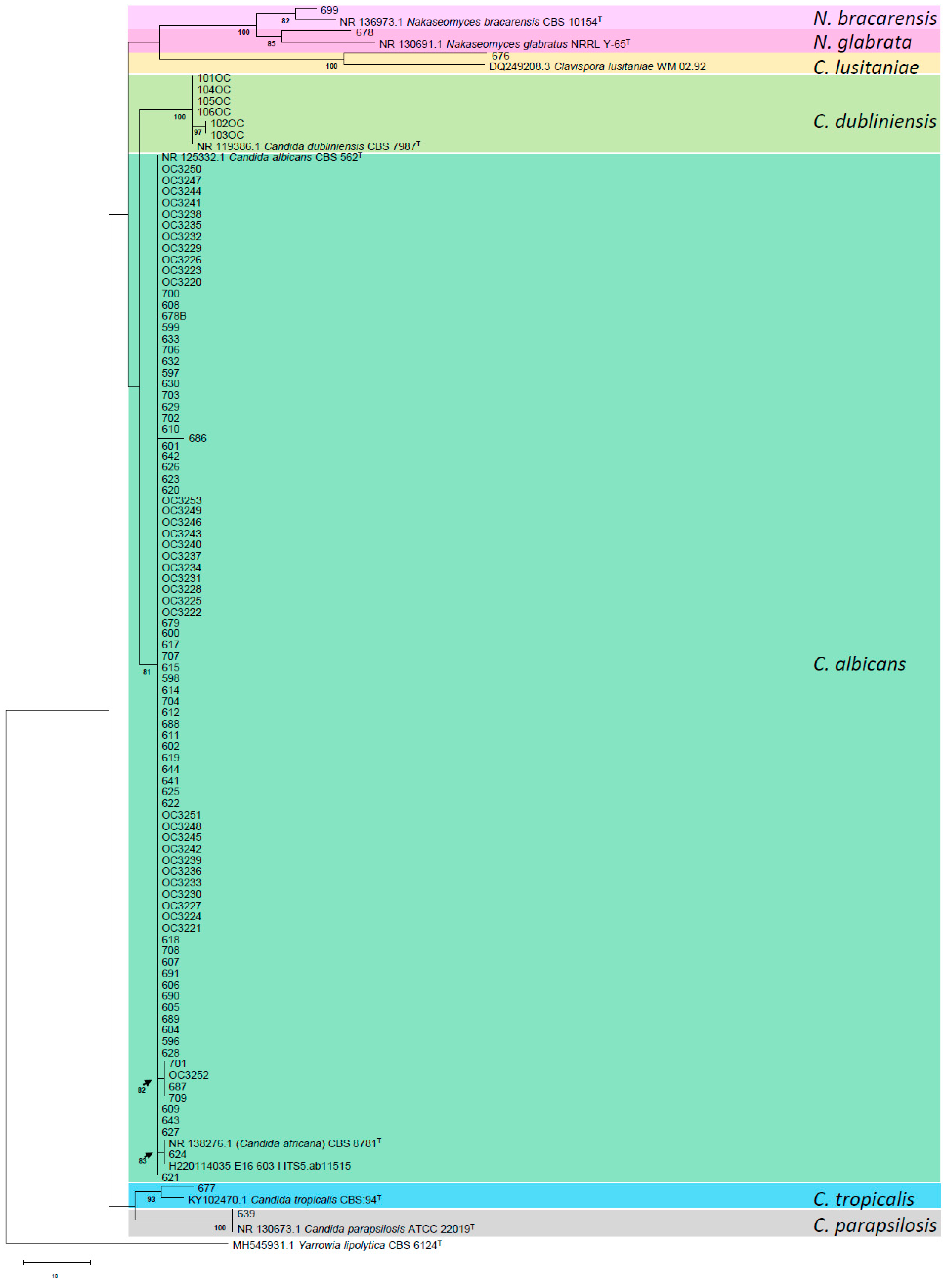 Antibiotics 14 00712 g002