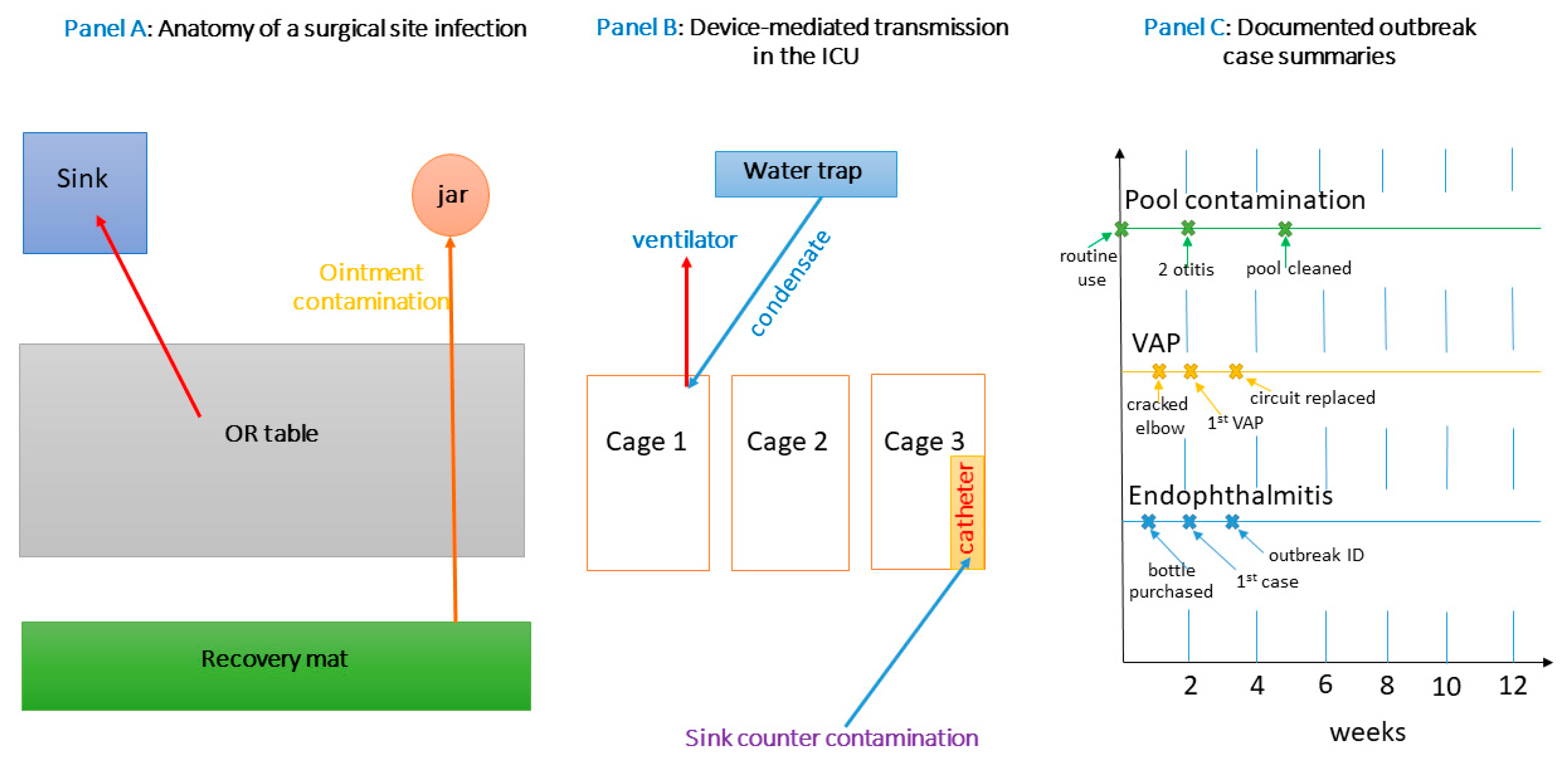 Antibiotics 14 00720 g002