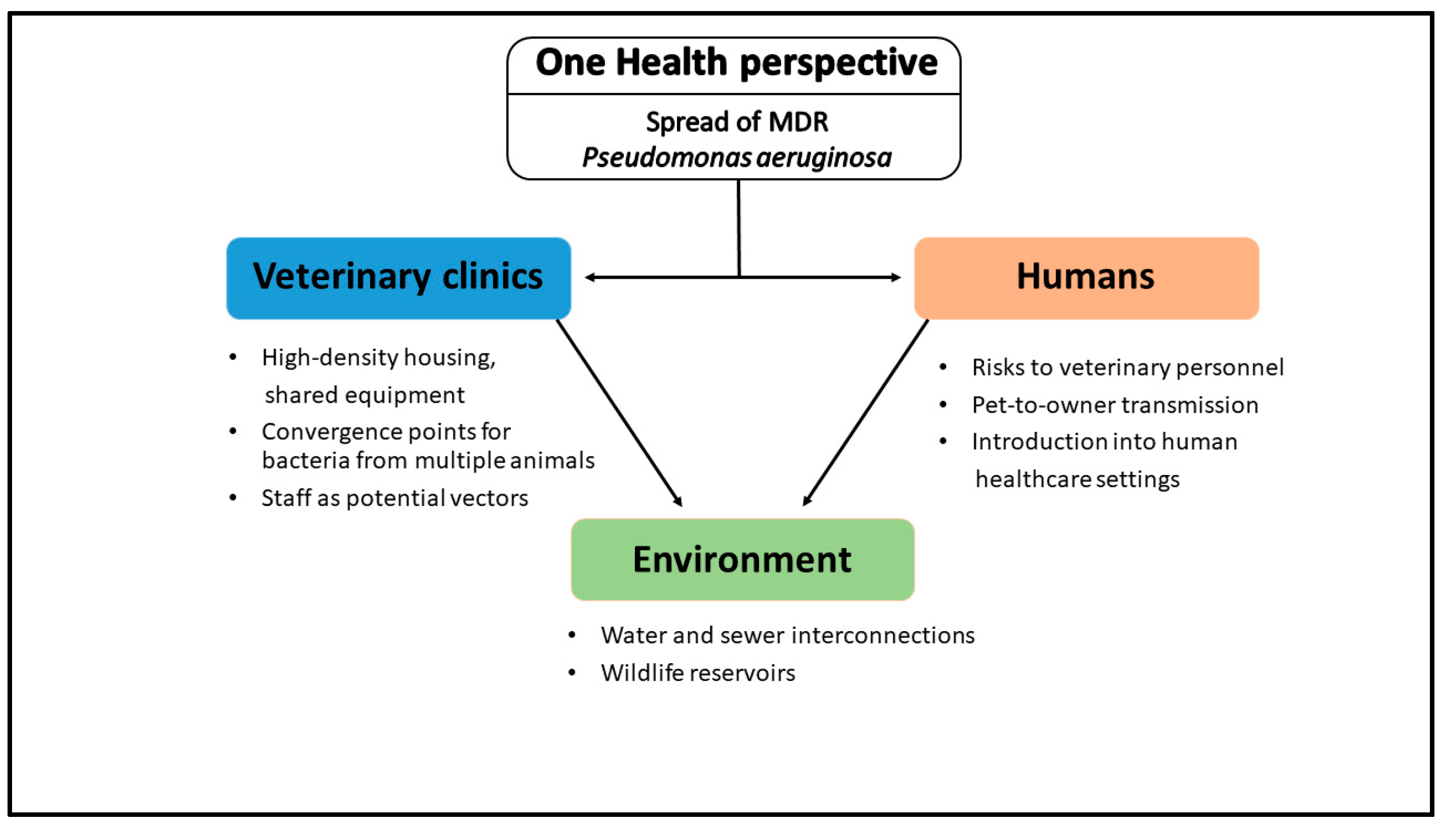 Antibiotics 14 00720 g003
