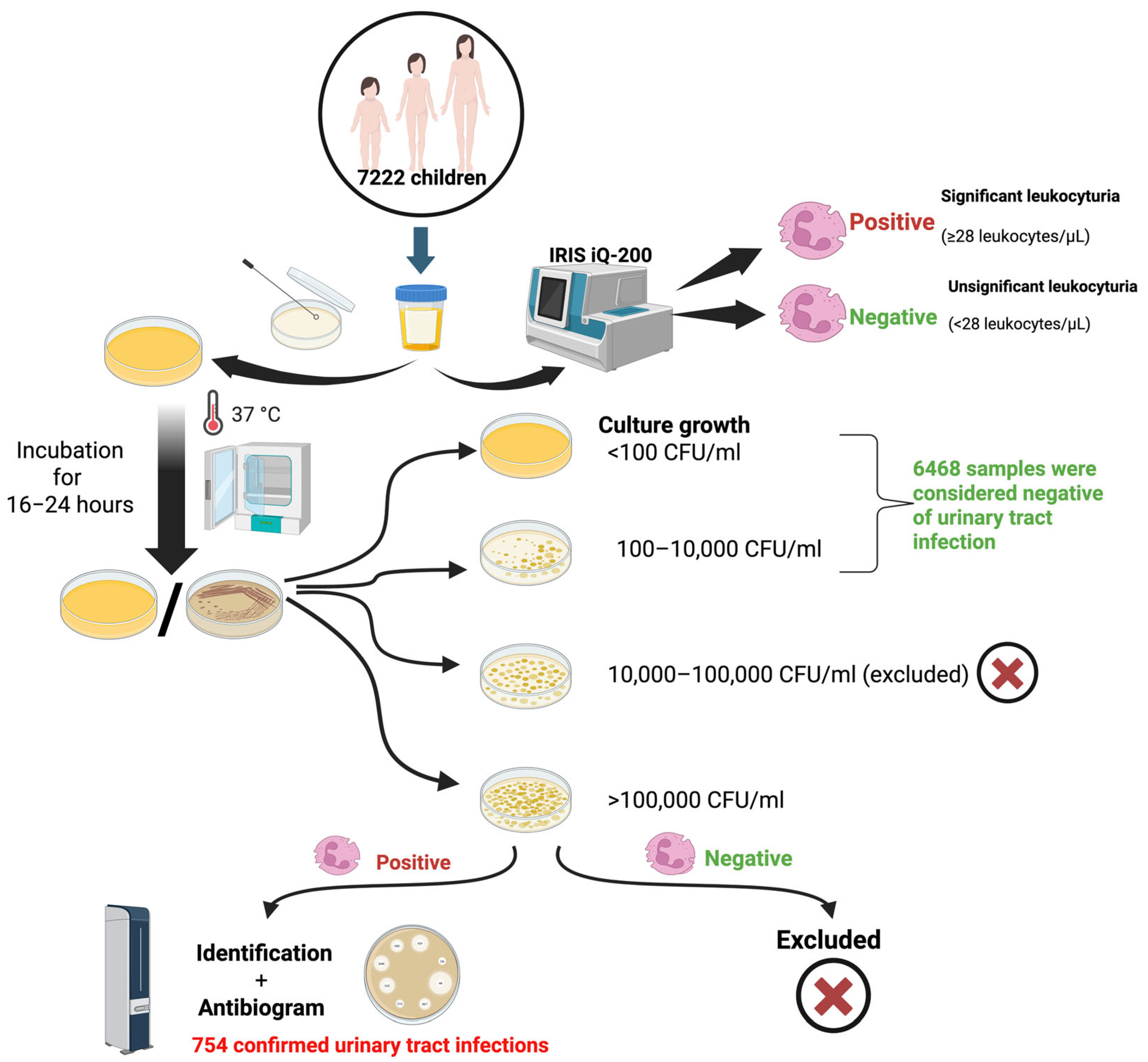 Antibiotics 14 00723 g001