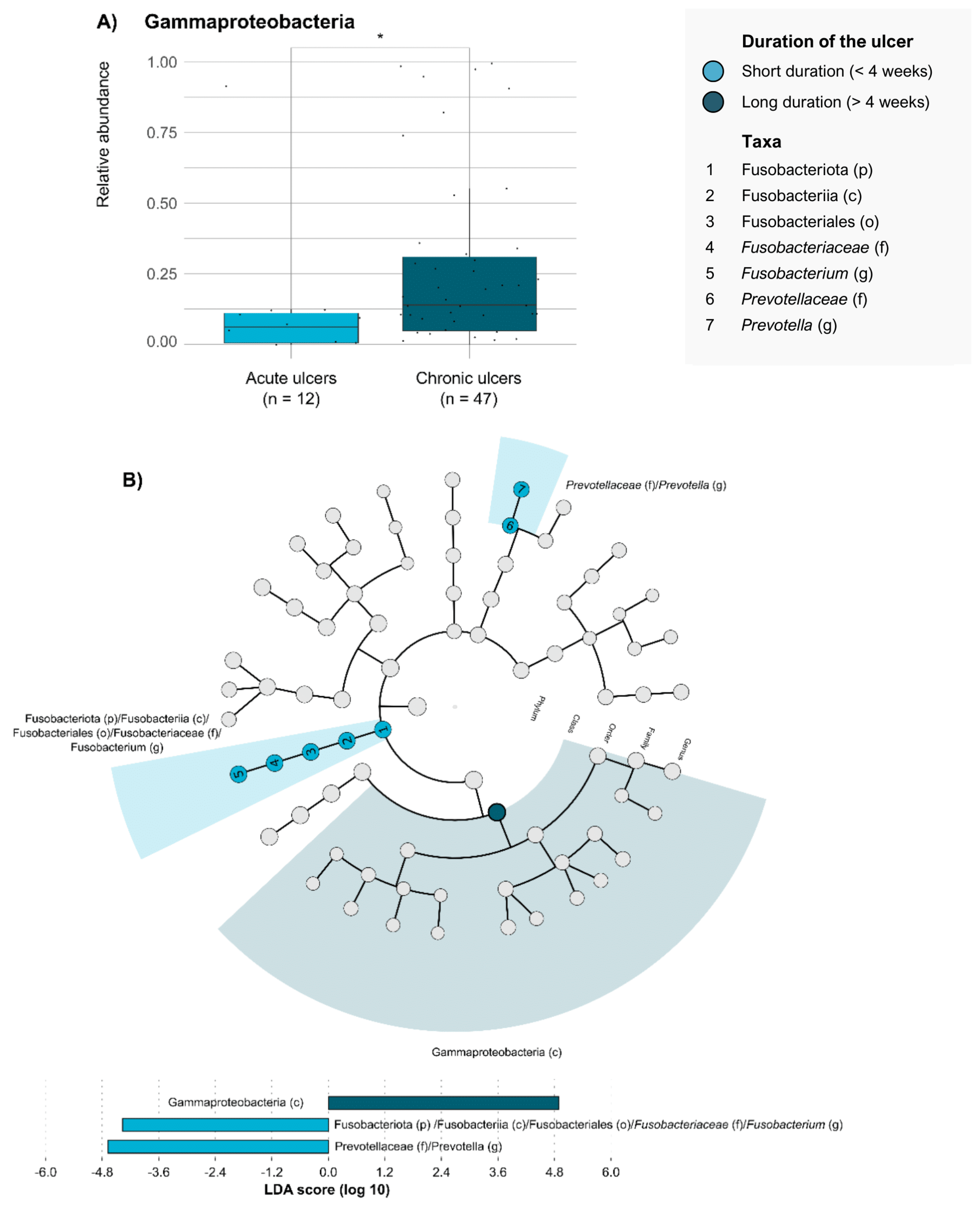 Antibiotics 14 00724 g001