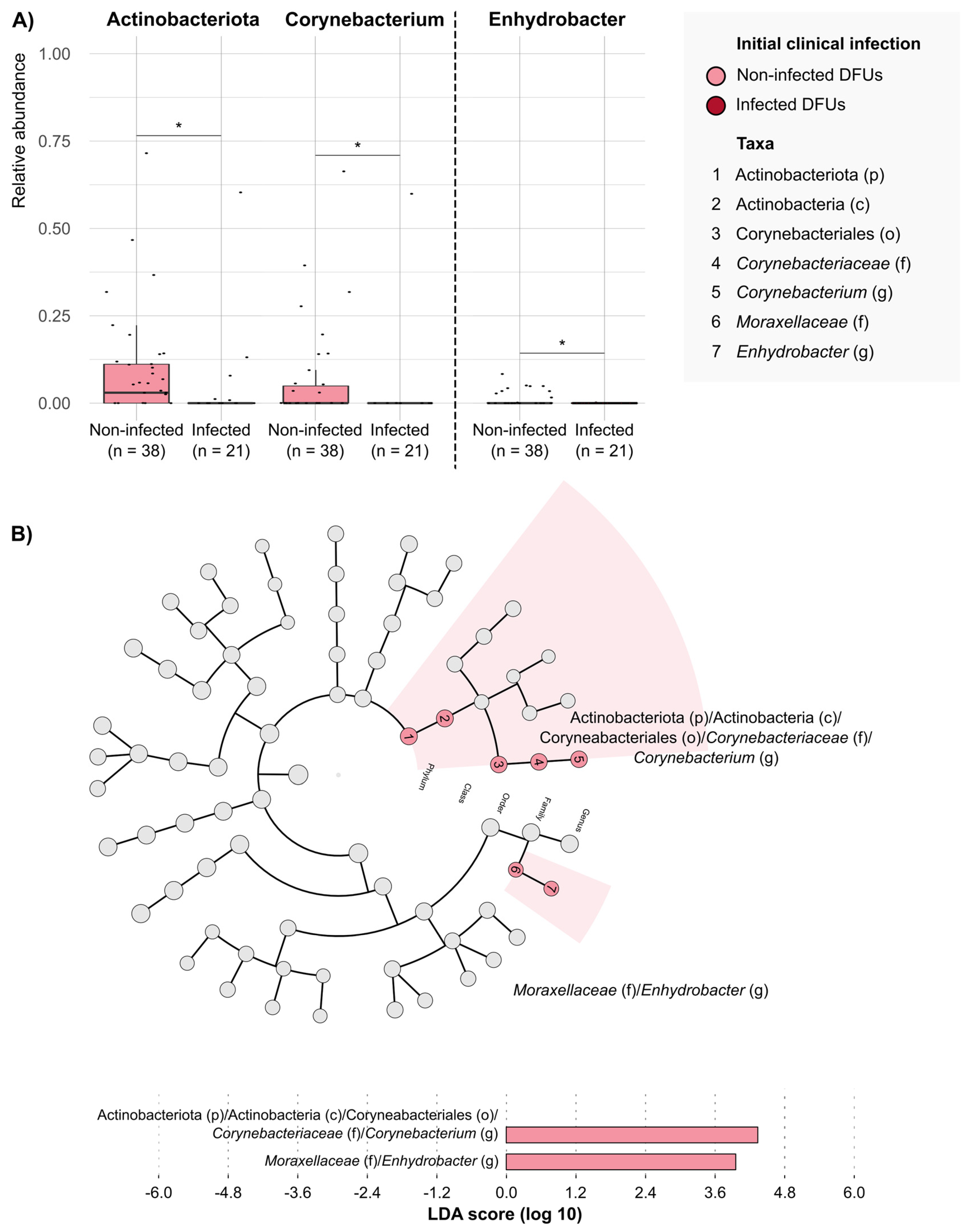 Antibiotics 14 00724 g002