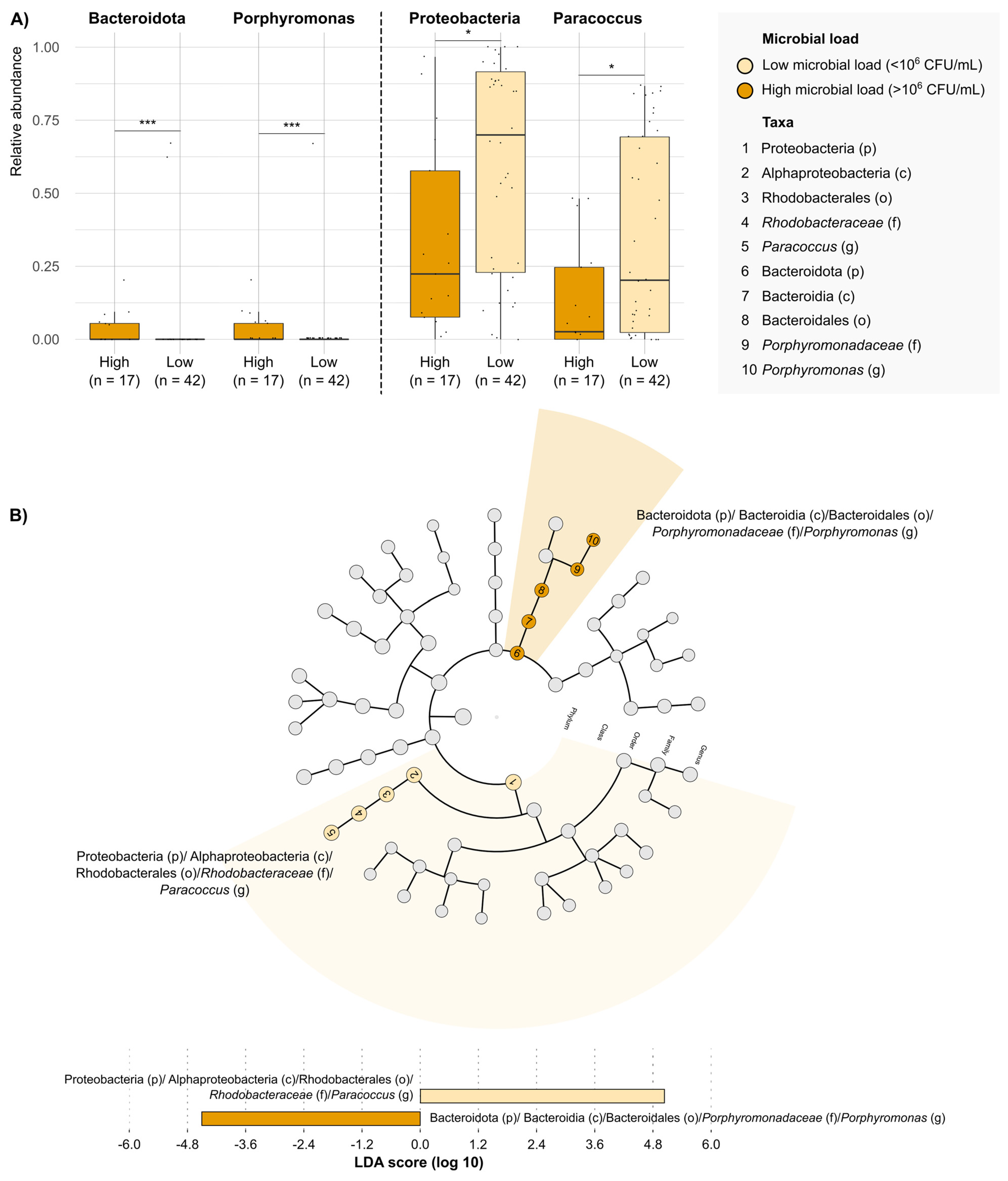 Antibiotics 14 00724 g003