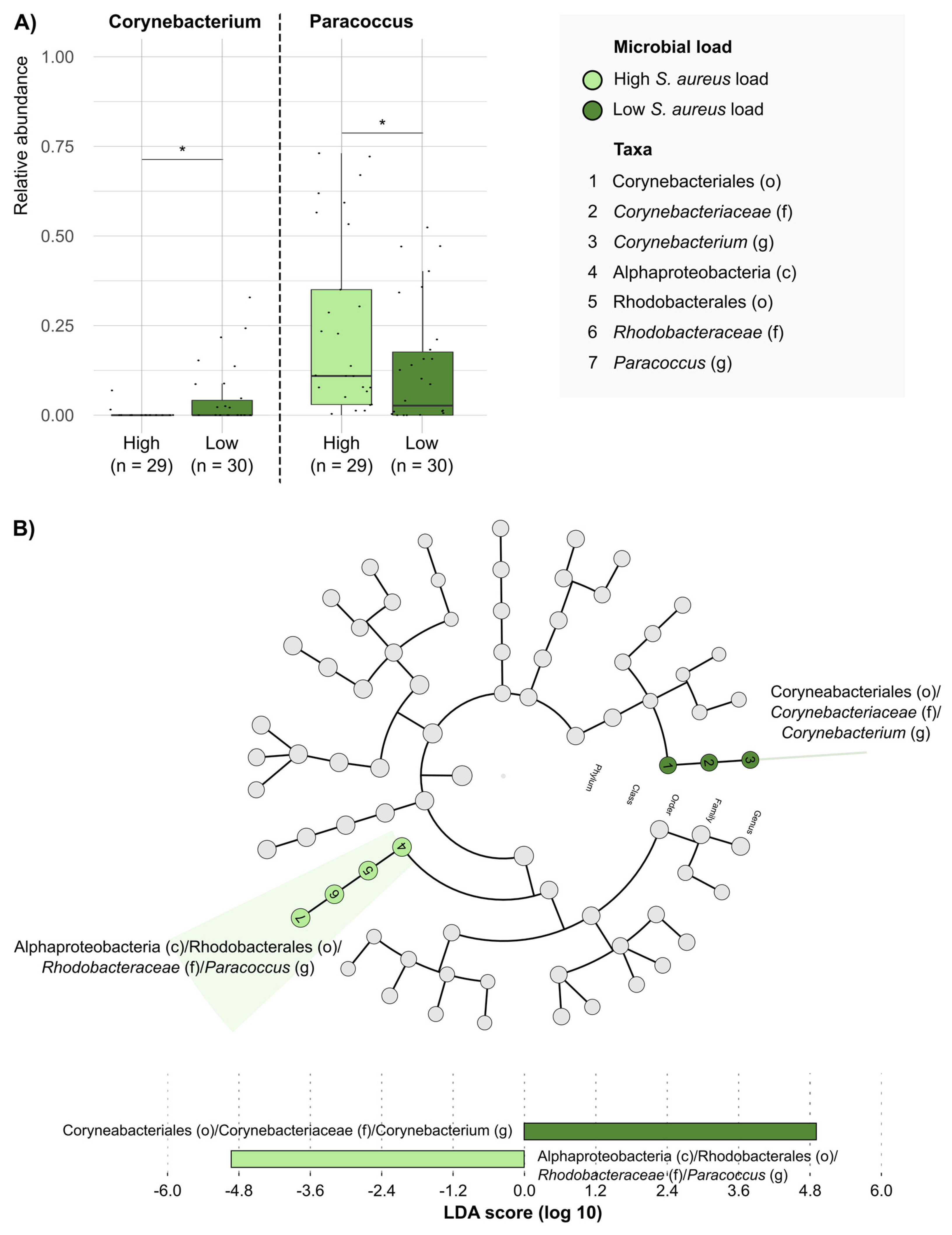 Antibiotics 14 00724 g004