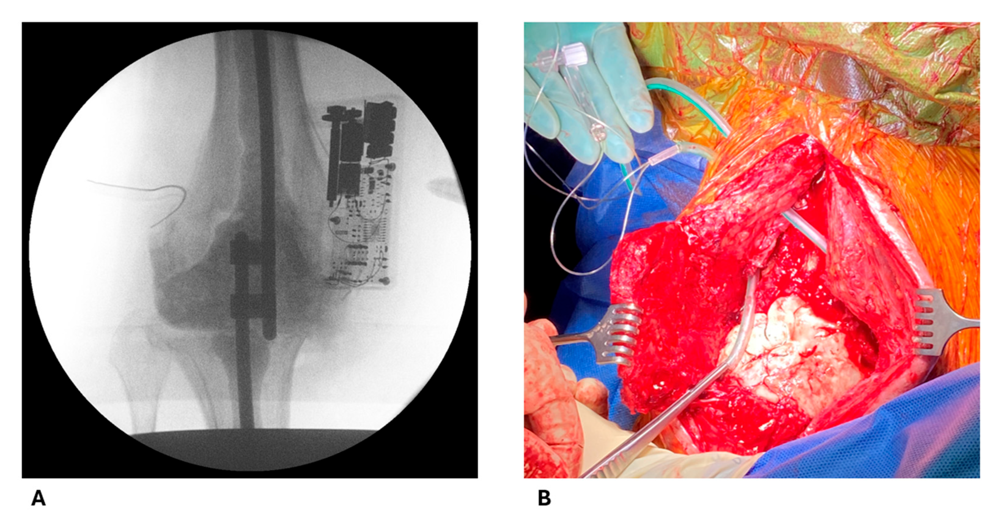 Antibiotics 14 00742 g002