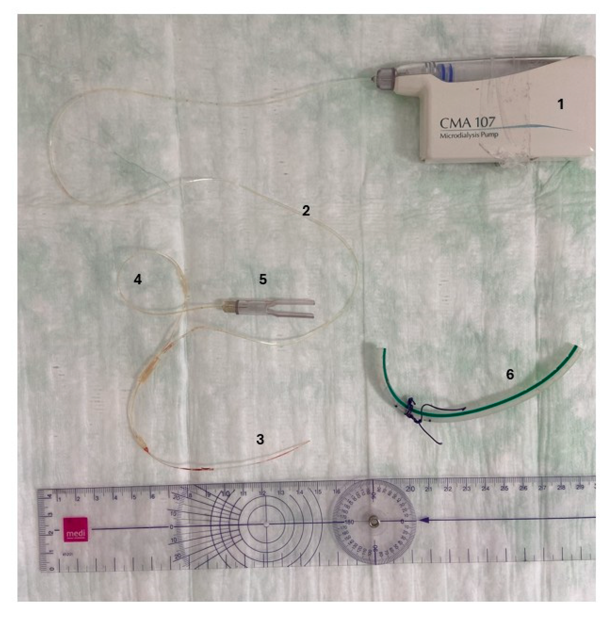 Antibiotics 14 00742 g003