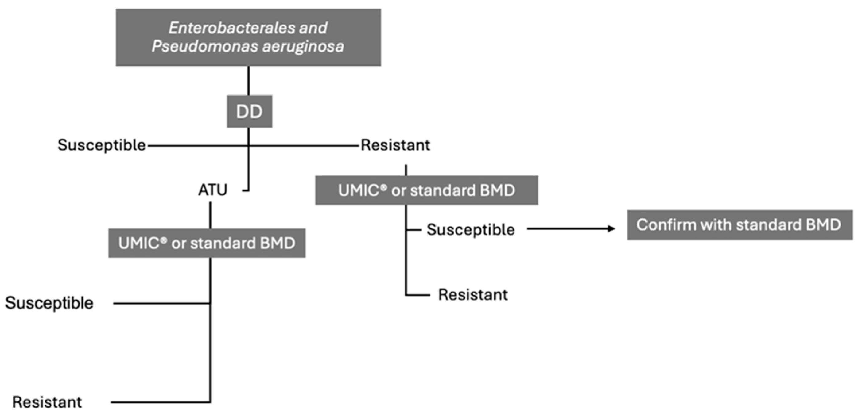 Antibiotics 14 00760 g004