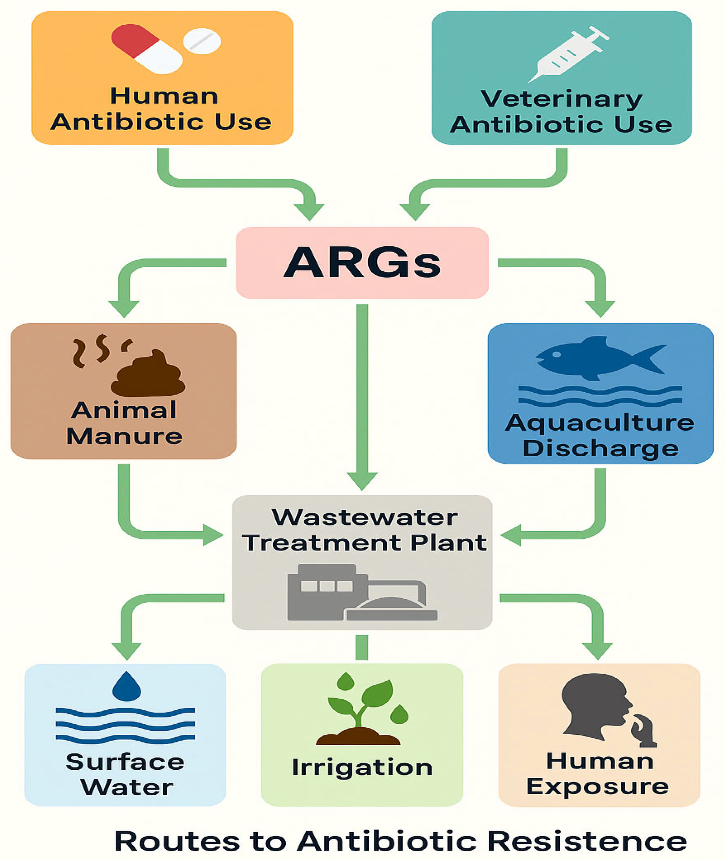 Antibiotics 14 00763 g001