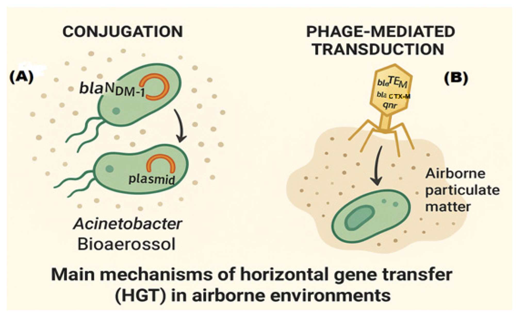 Antibiotics 14 00764 g006