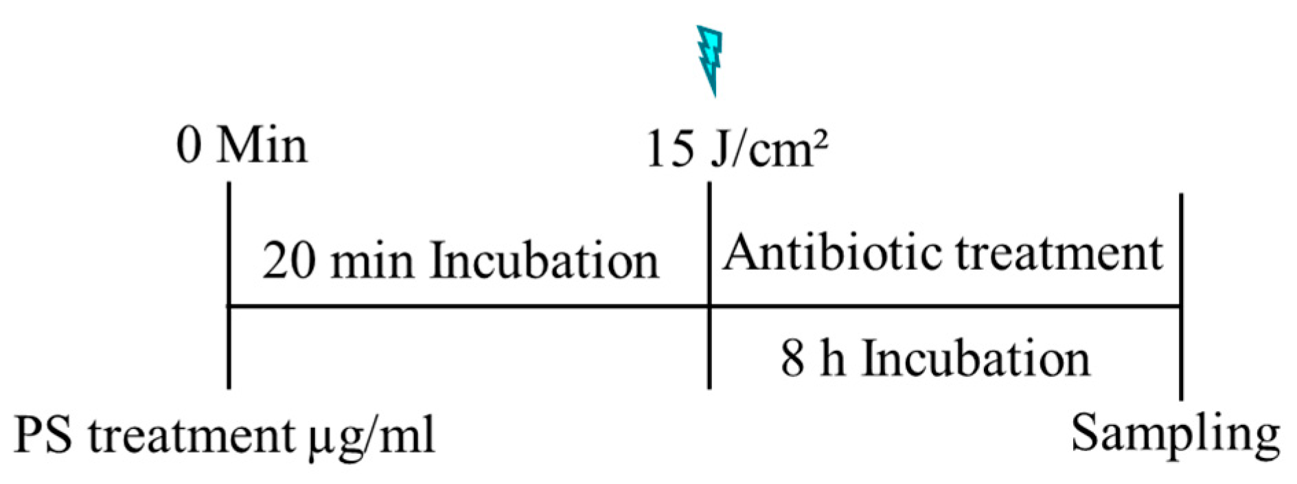 Antibiotics 14 00766 g006
