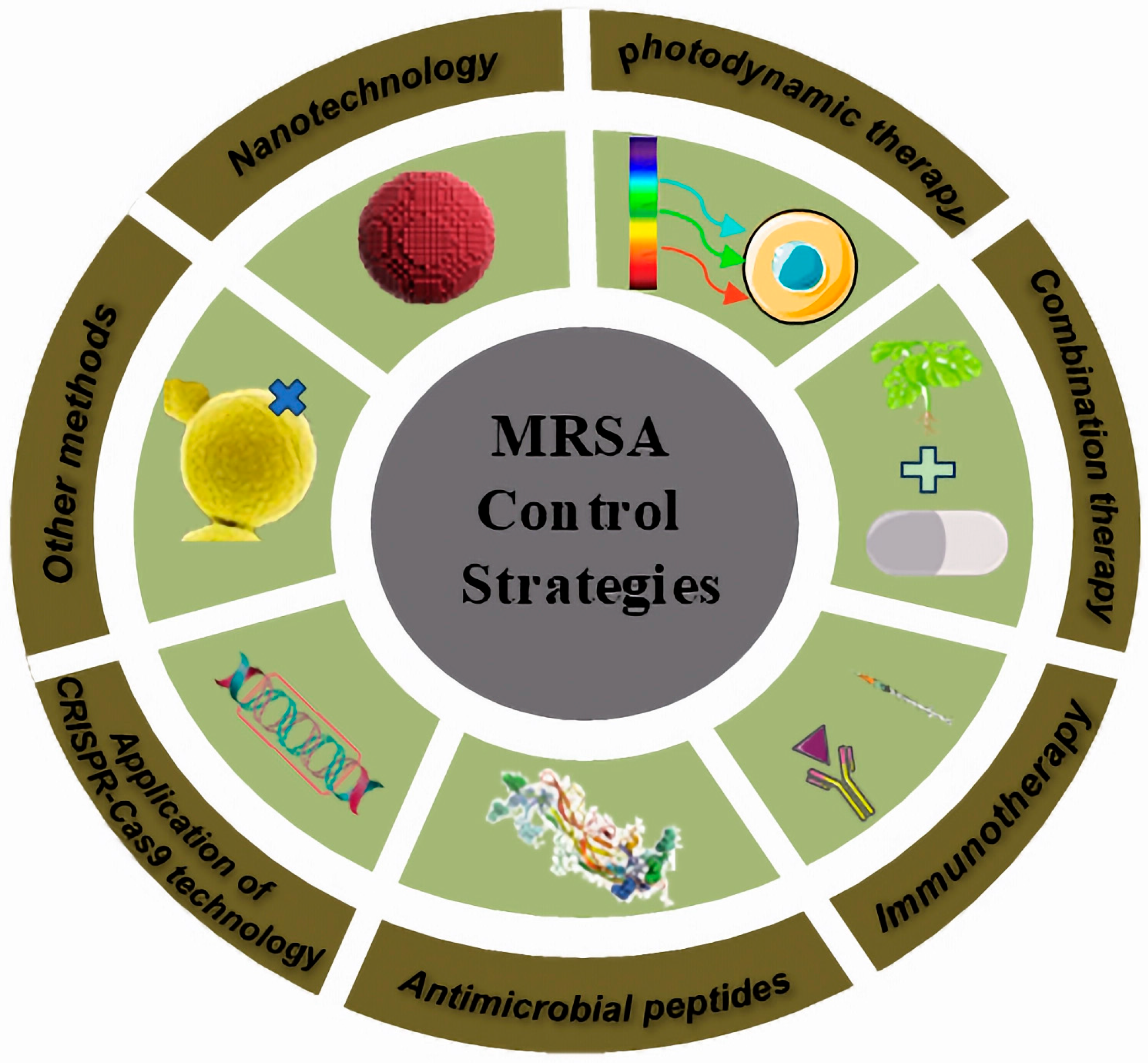 Antibiotics 14 00771 g002