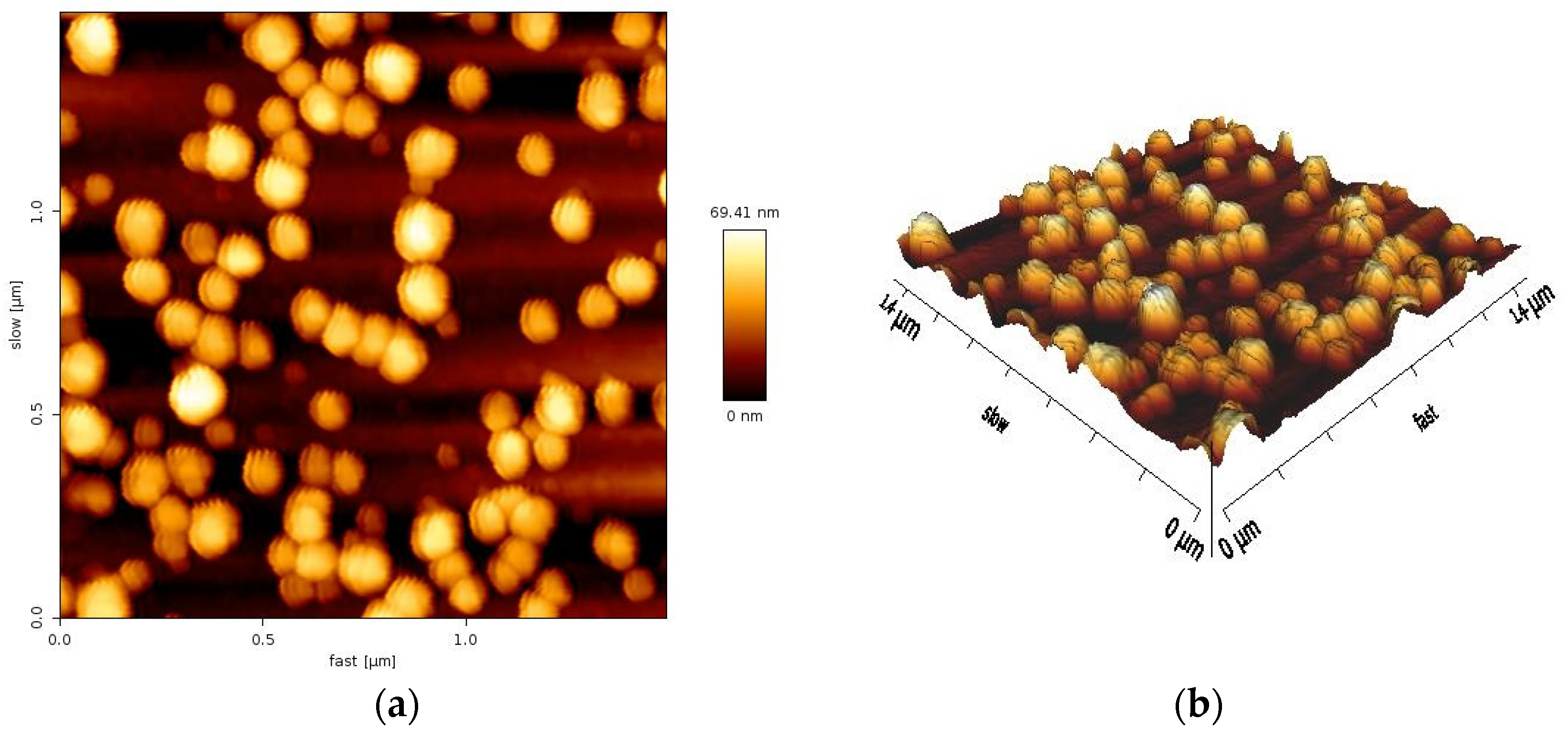 Antibiotics 14 00776 g005 Antibiotics 14 00776 g005