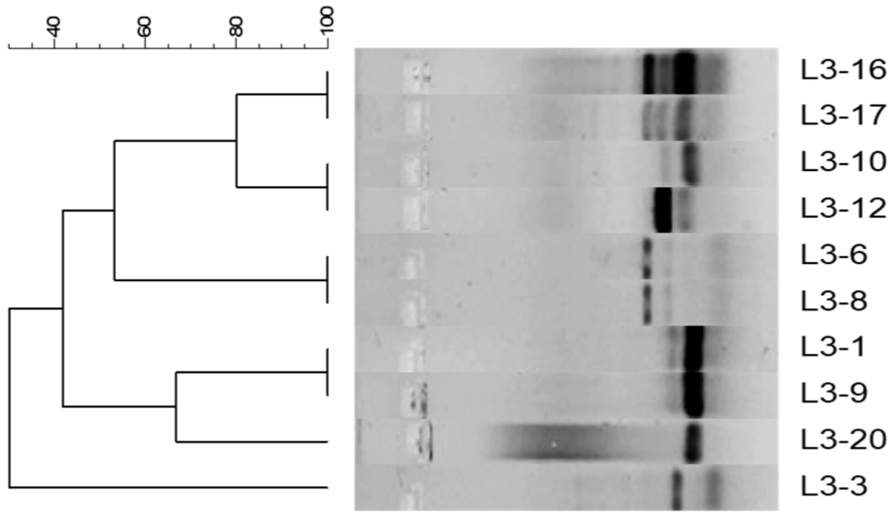Antibiotics 14 00781 g001