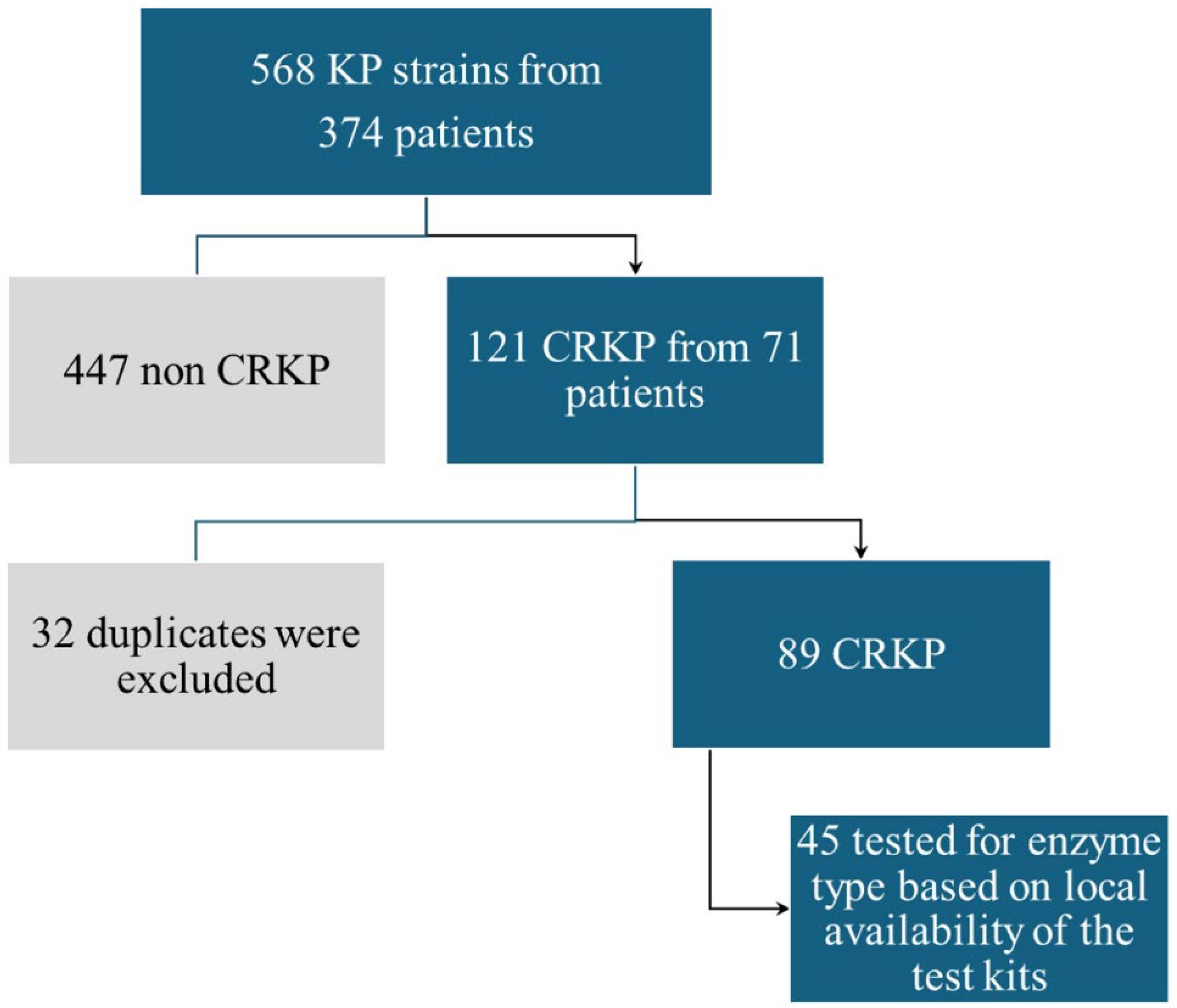 Antibiotics 14 00783 g005