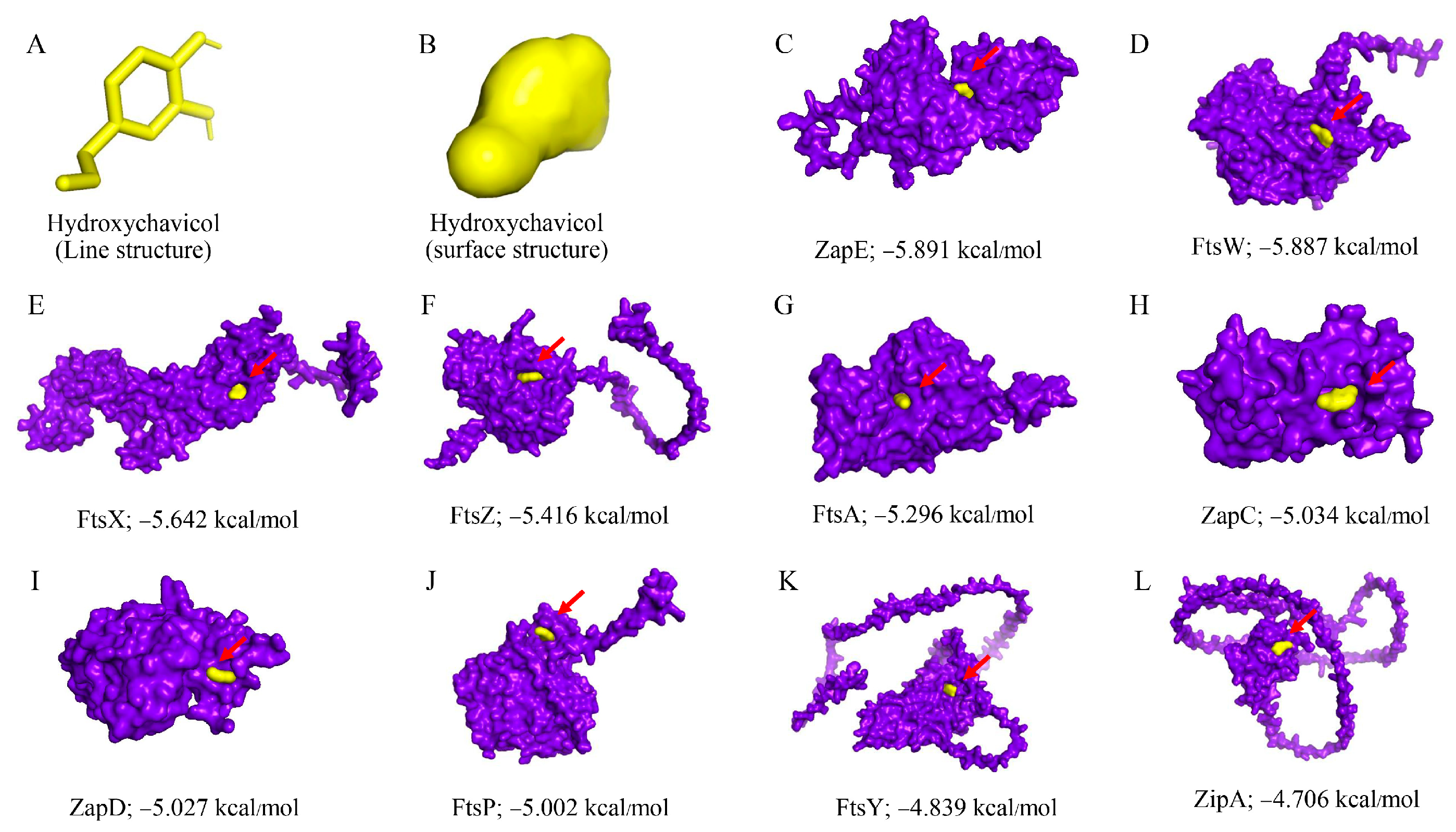 Antibiotics 14 00788 g006 Antibiotics 14 00788 g006