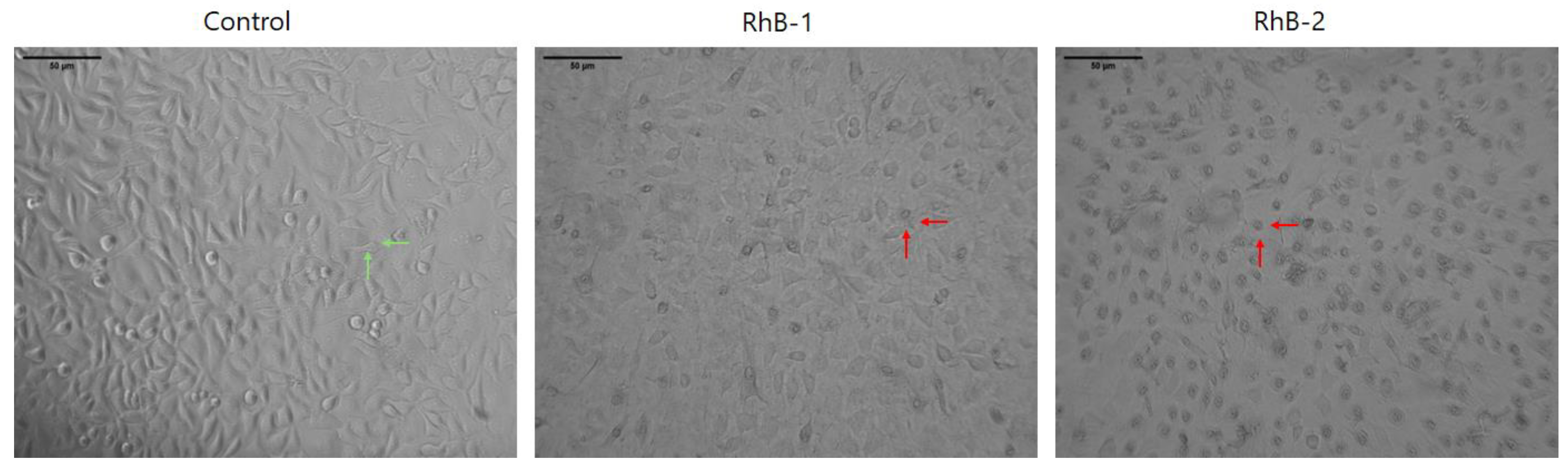 Antibiotics 14 00793 g003