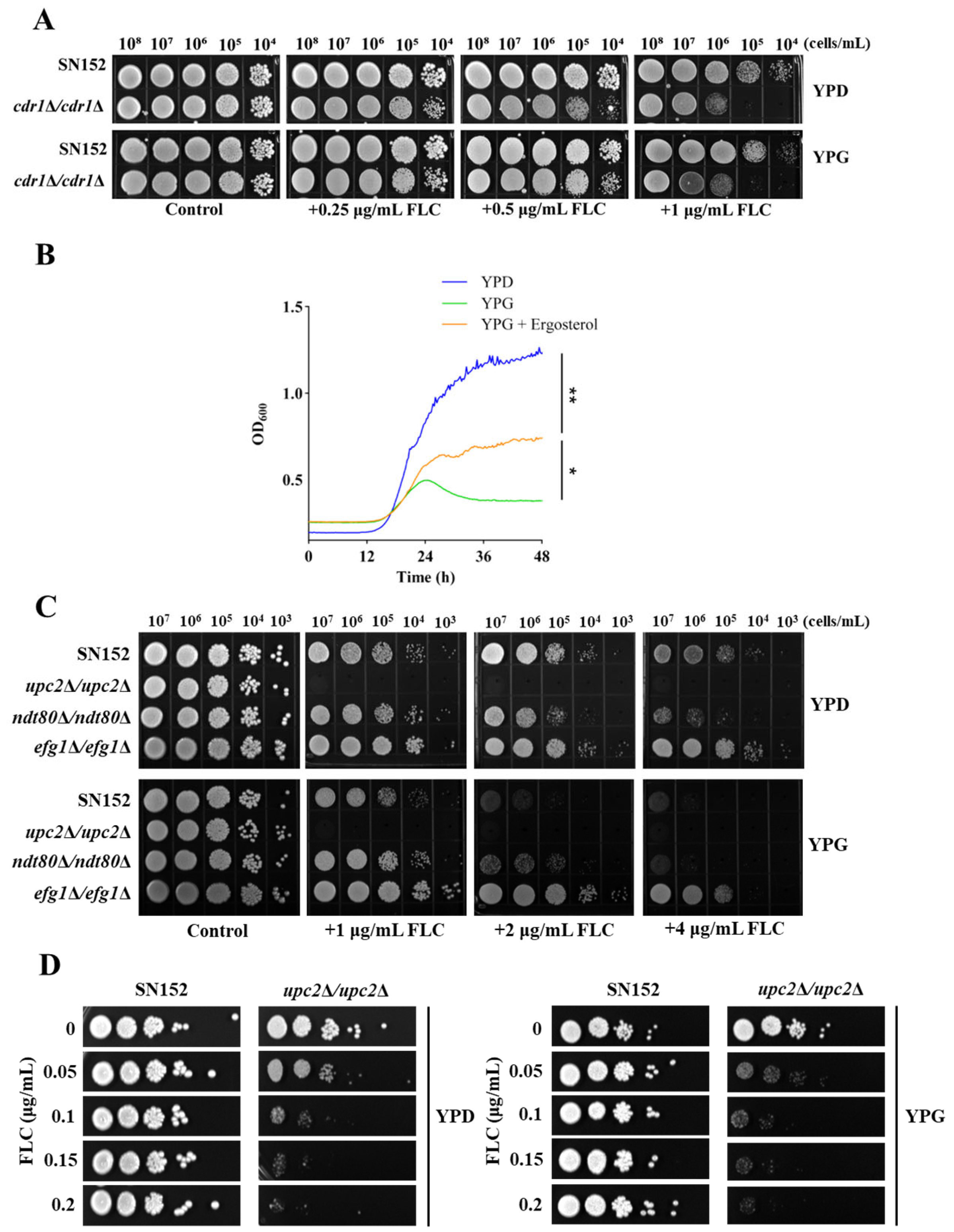 Antibiotics 14 00799 g003 Antibiotics 14 00799 g003