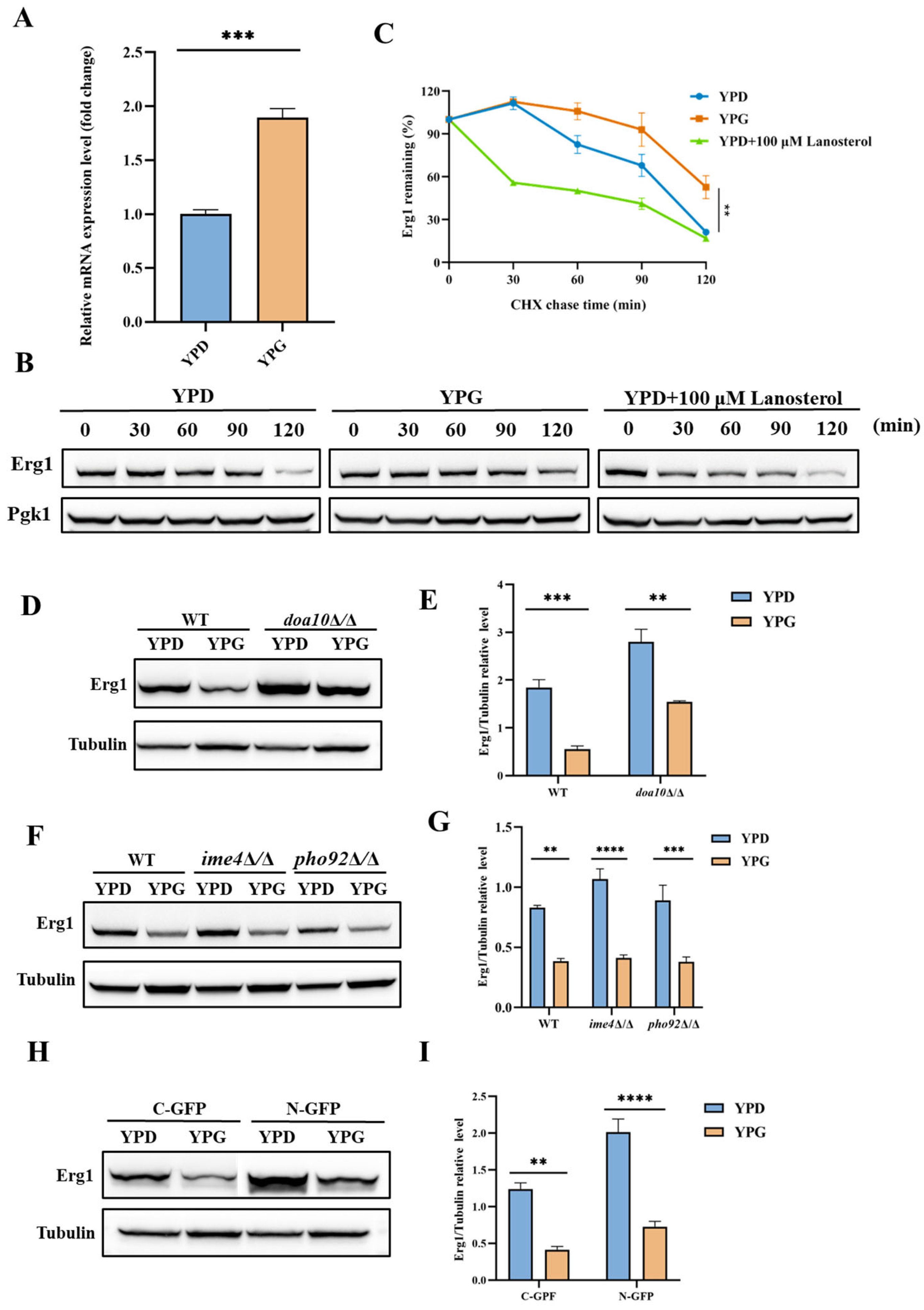 Antibiotics 14 00799 g005 Antibiotics 14 00799 g005