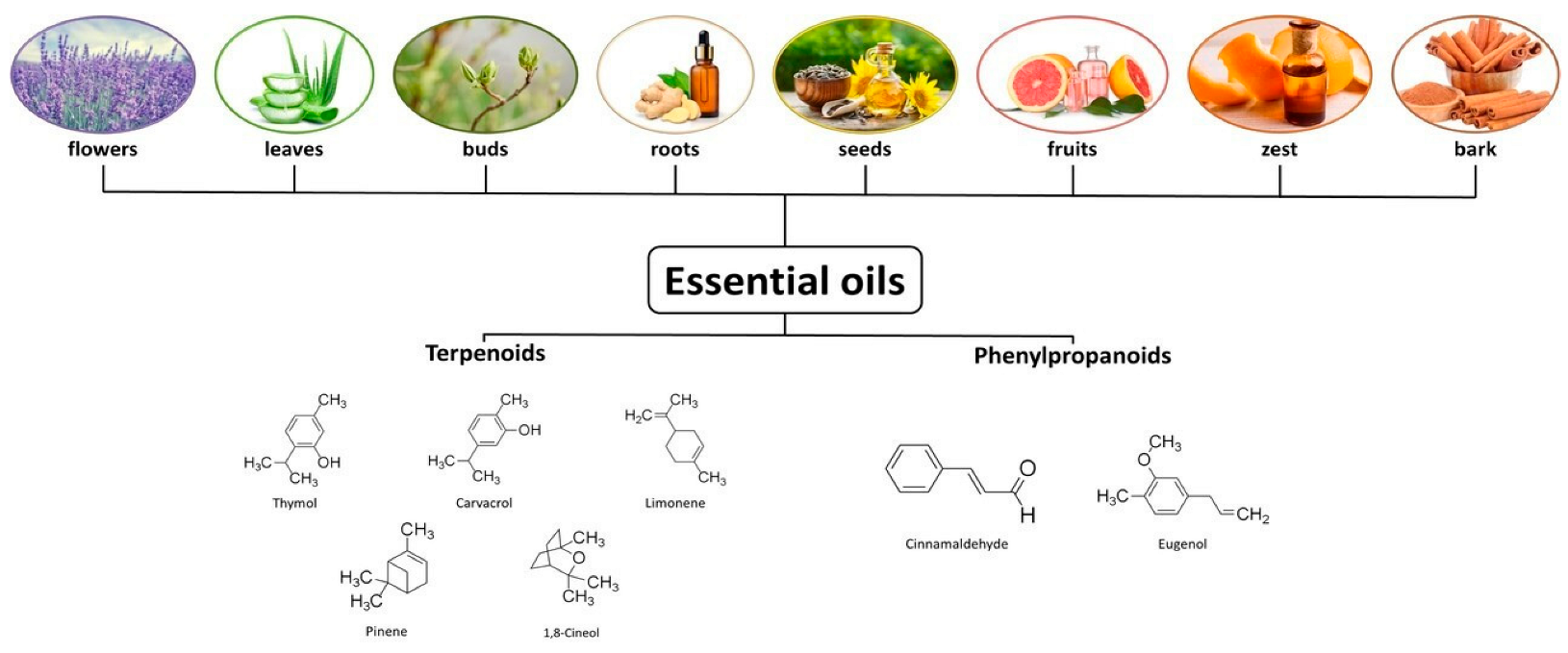 Antibiotics 14 00803 g001 Antibiotics 14 00803 g001