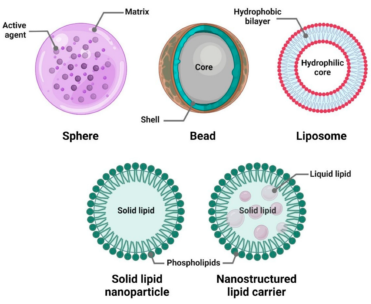 Antibiotics 14 00803 g003 Antibiotics 14 00803 g003