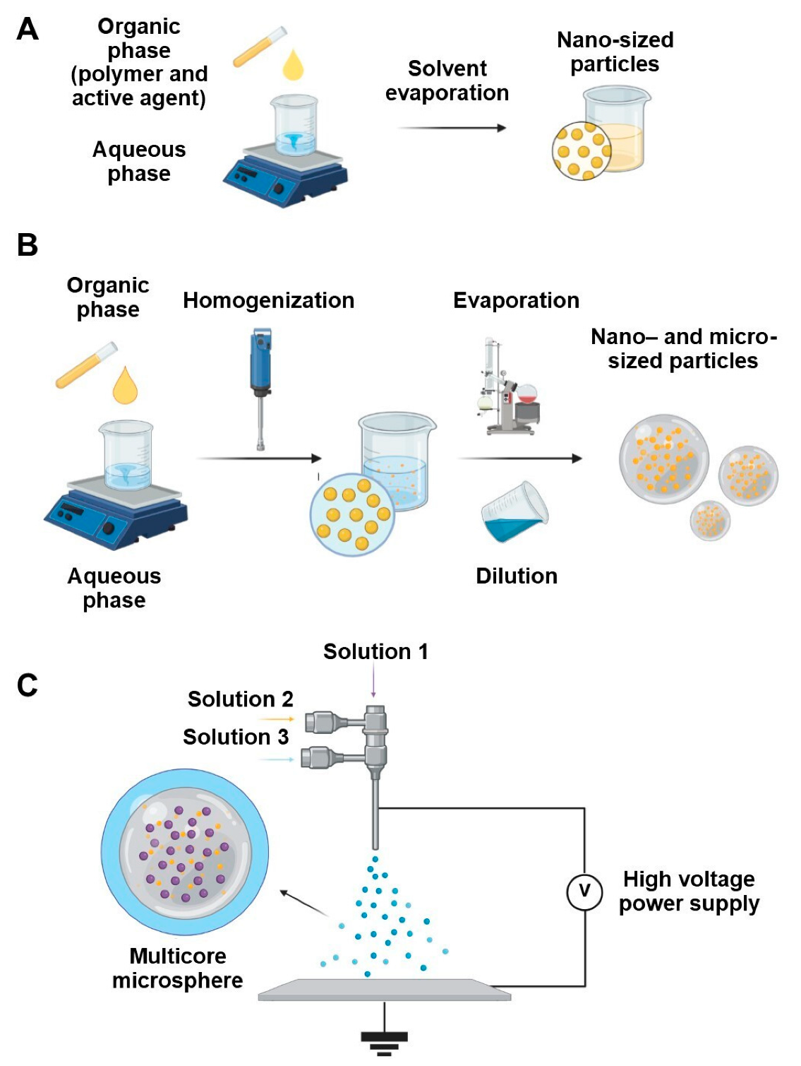 Antibiotics 14 00803 g004 Antibiotics 14 00803 g004