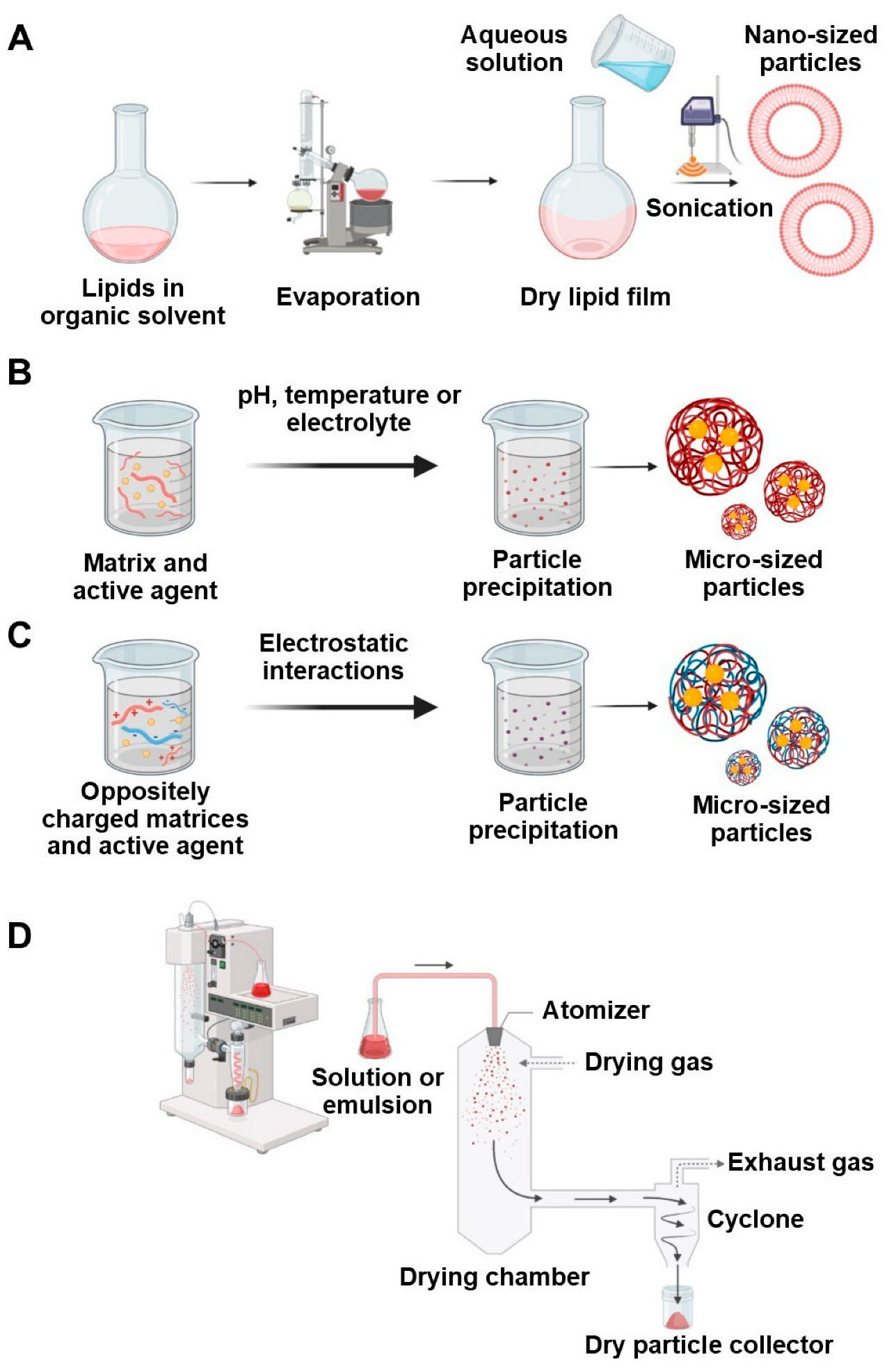 Antibiotics 14 00803 g005 Antibiotics 14 00803 g005