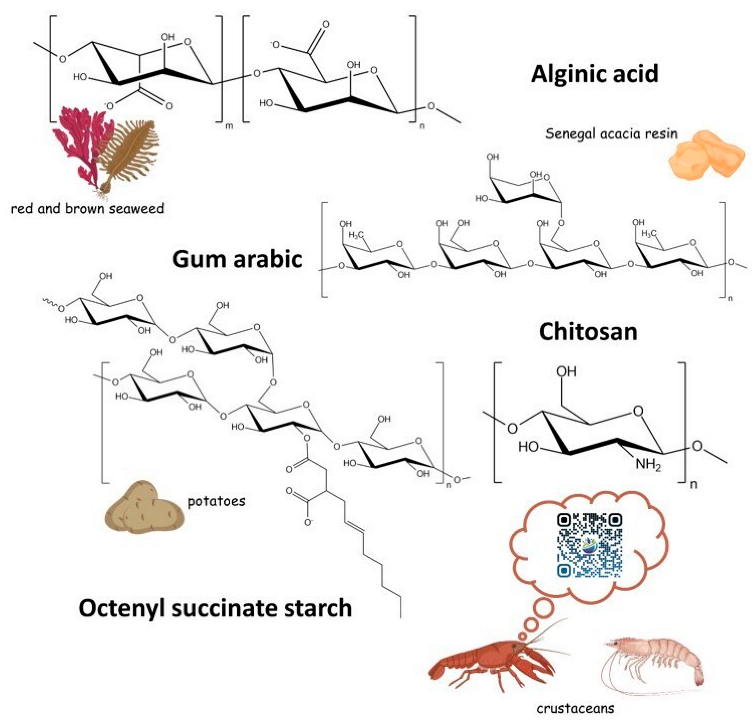 Antibiotics 14 00803 g006 Antibiotics 14 00803 g006
