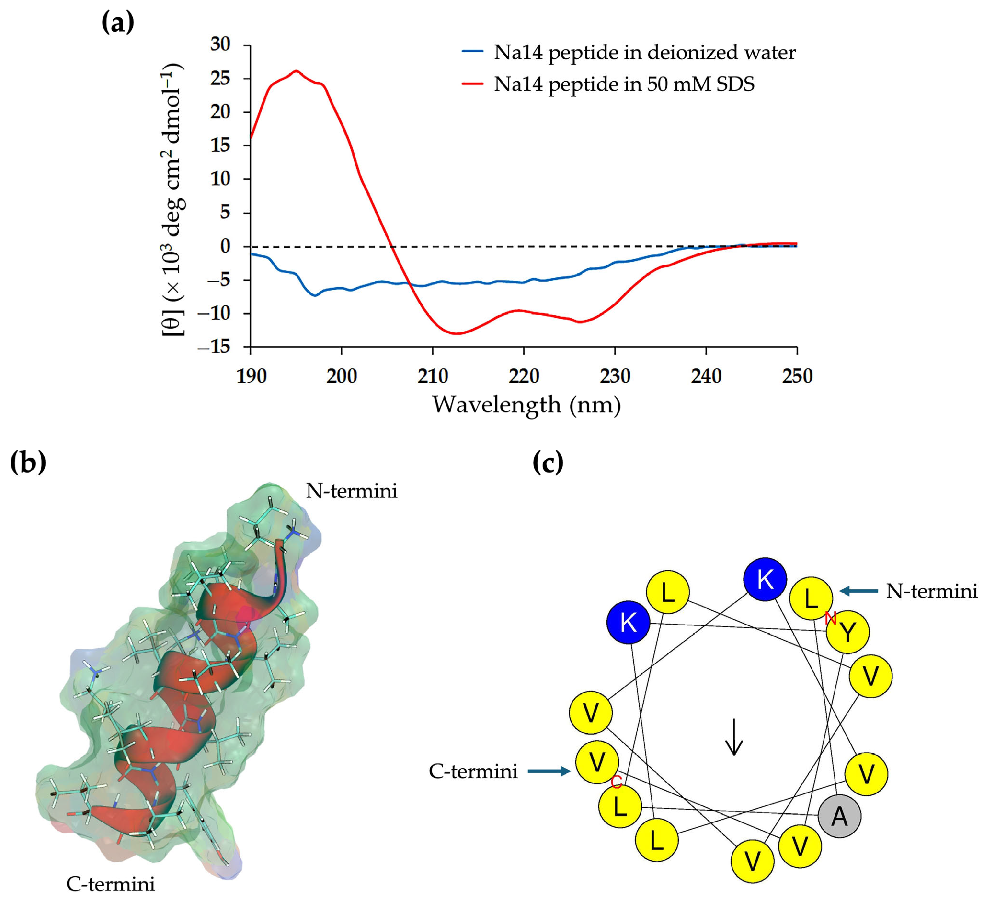 Antibiotics 14 00805 g004
