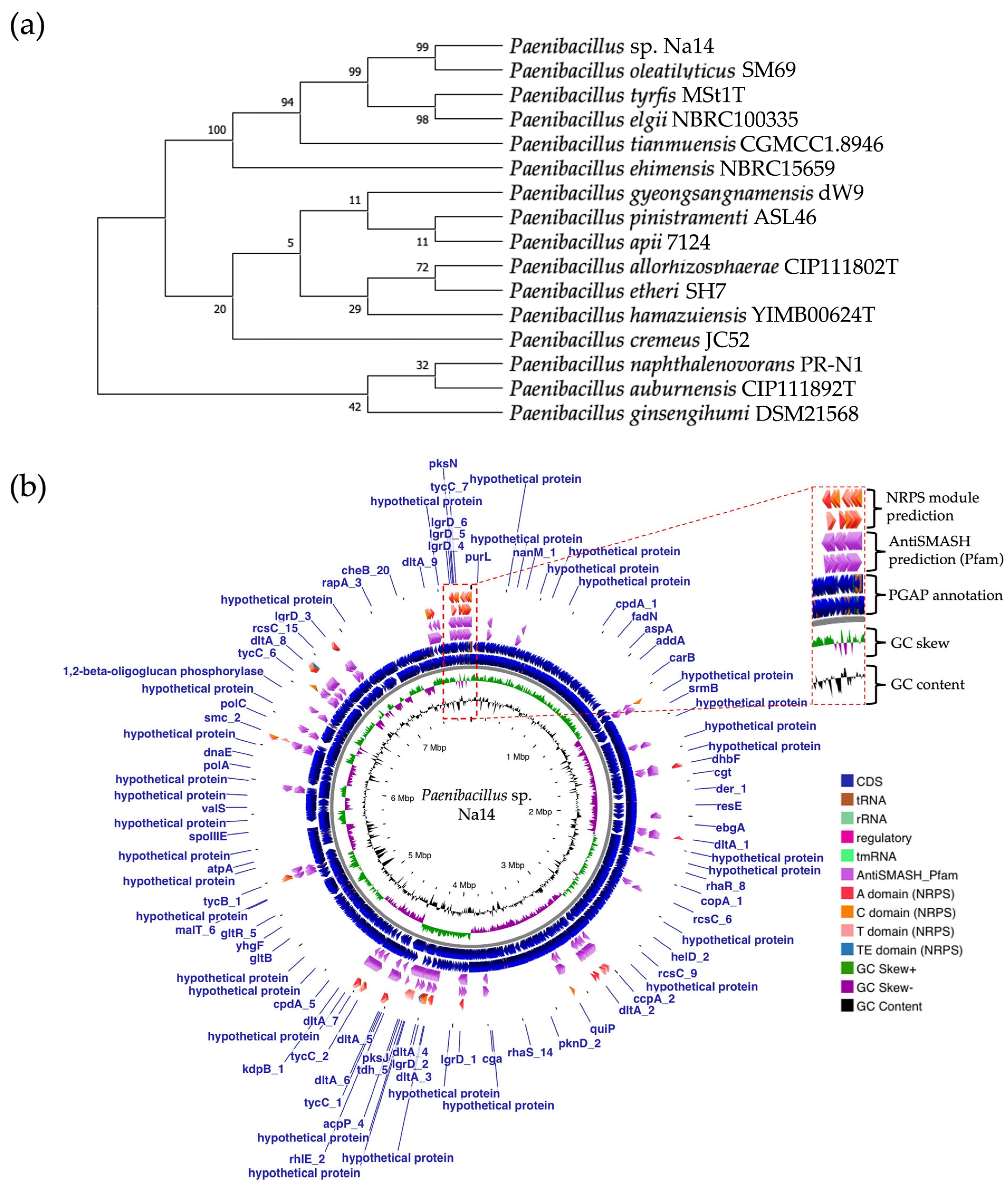 Antibiotics 14 00805 g007