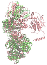 Antibiotics 14 00805 i005